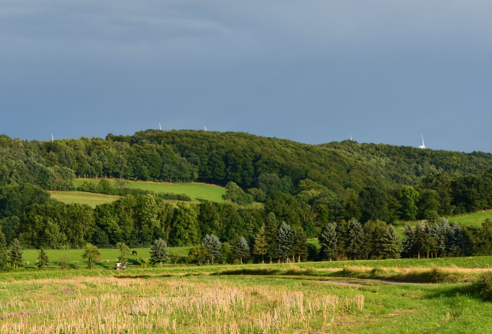 Nikon D5100 sample photo. Windräder, landscape, verspargelung photography