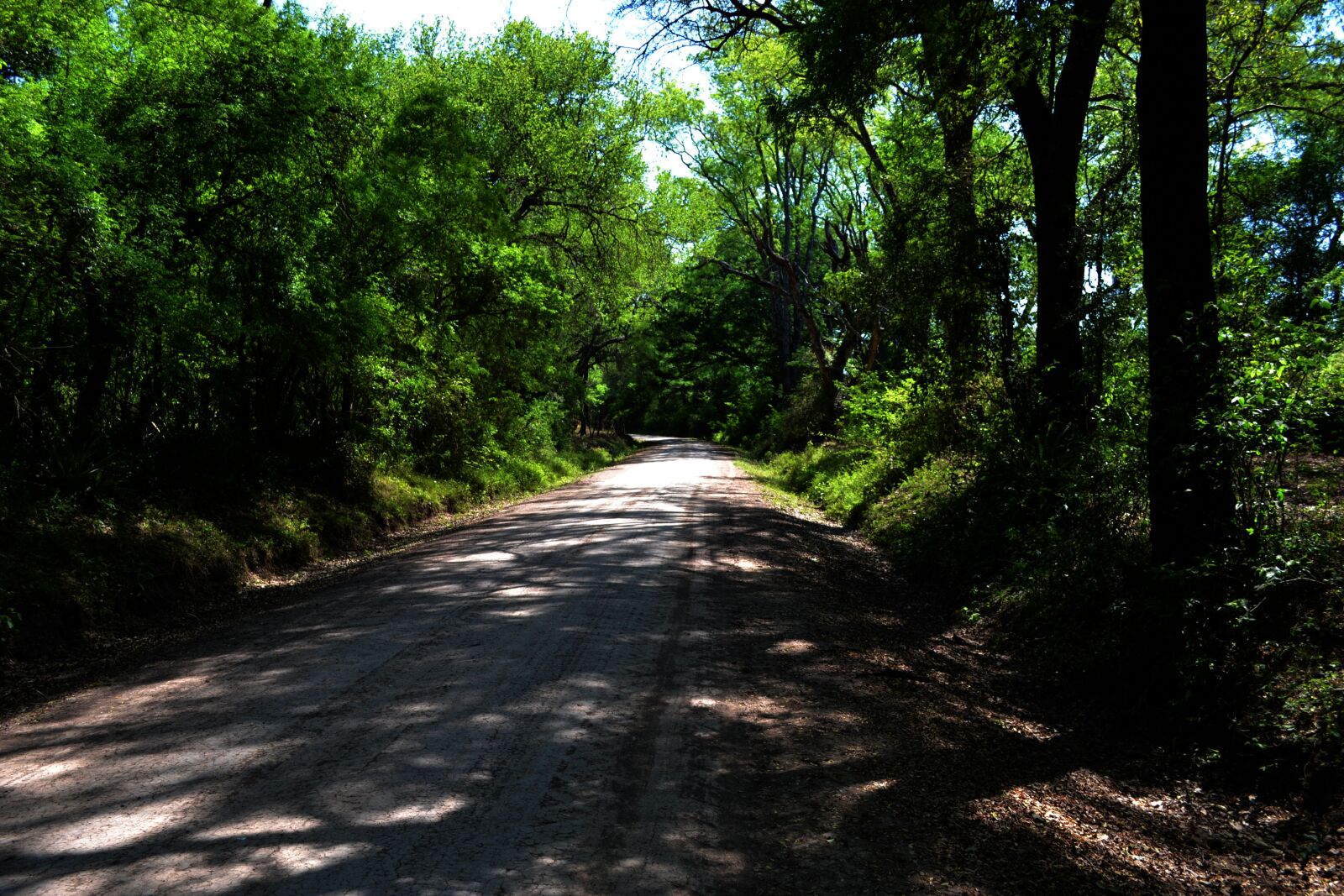 Nikon D3100 sample photo. Country road, rural, road photography