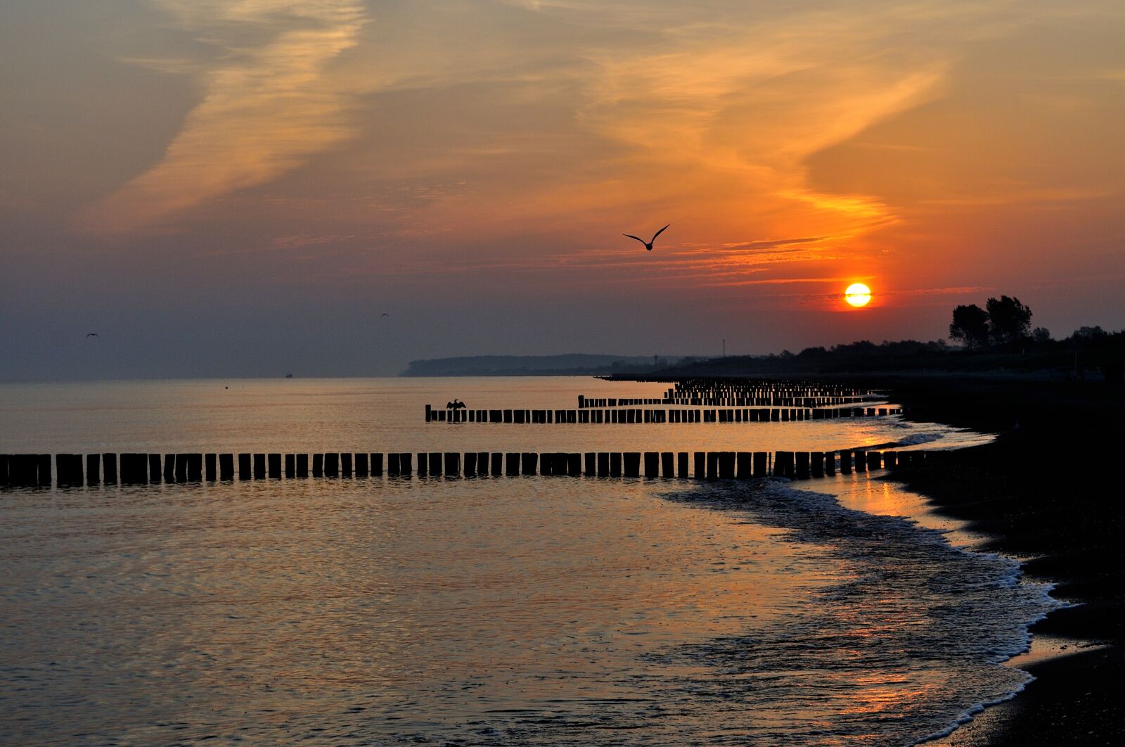 Nikon D5000 sample photo. Sunrise, beach, summer photography