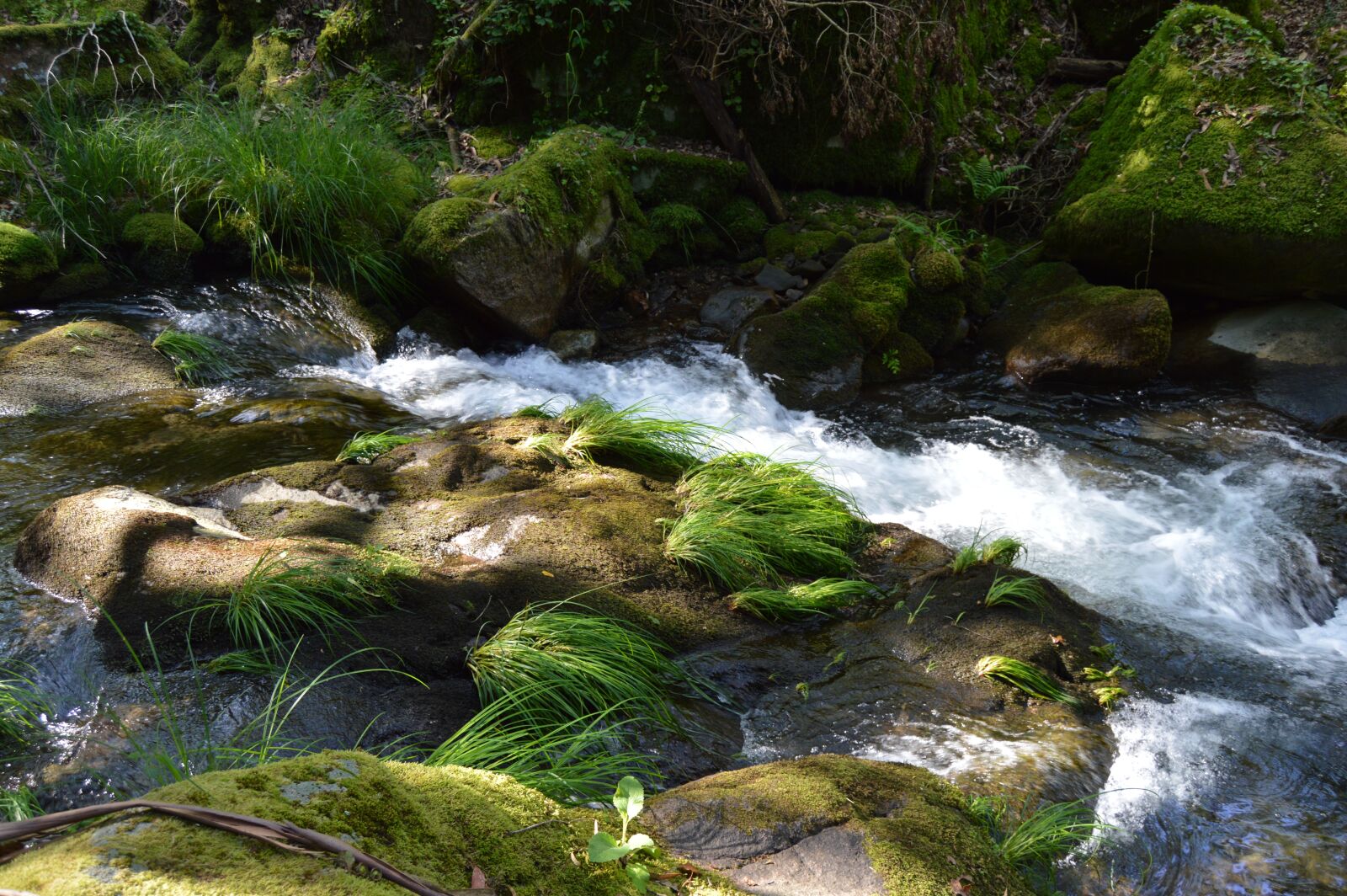 Nikon D3200 sample photo. River, nature, brook photography