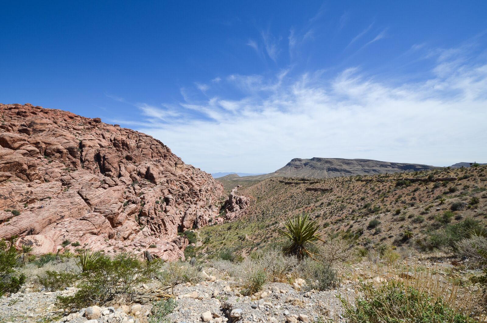 Nikon D5100 sample photo. Usa, america, nevada photography