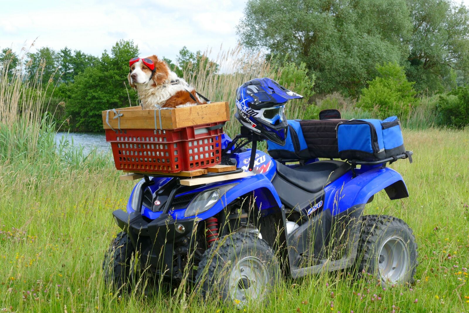 Panasonic Lumix DMC-FZ1000 sample photo. Dog, nature, motorcycle photography
