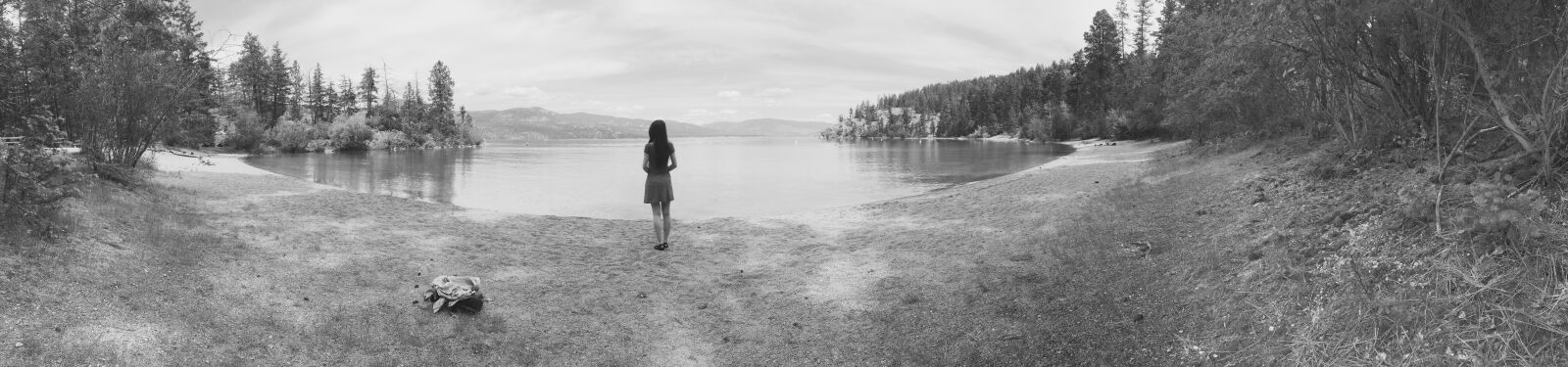 iPhone 6 Plus back camera 4.15mm f/2.2 sample photo. Black, and, white, forest photography