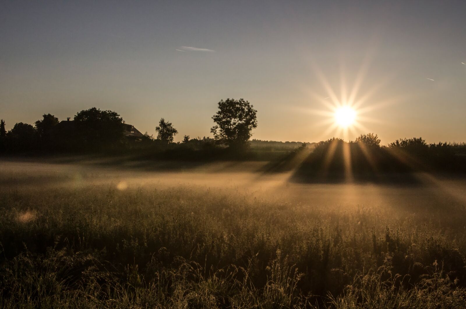 Canon EOS 600D (Rebel EOS T3i / EOS Kiss X5) sample photo. Fog, sunrise, sun photography