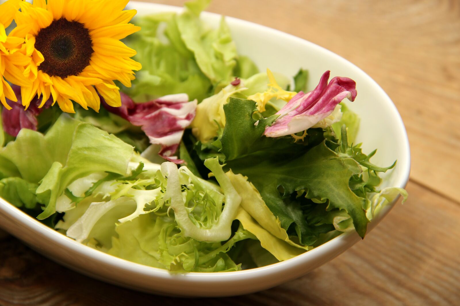 Canon EOS 600D (Rebel EOS T3i / EOS Kiss X5) sample photo. Salad, lettuce leaves, iceberg photography
