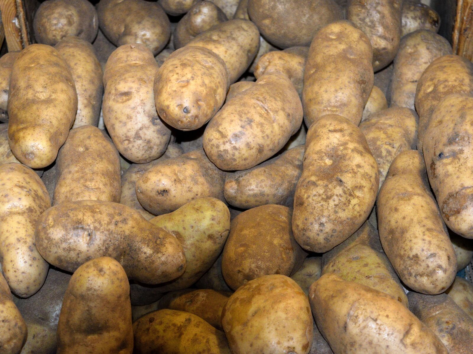 Nikon D3300 sample photo. Potatoes, for sale, market photography