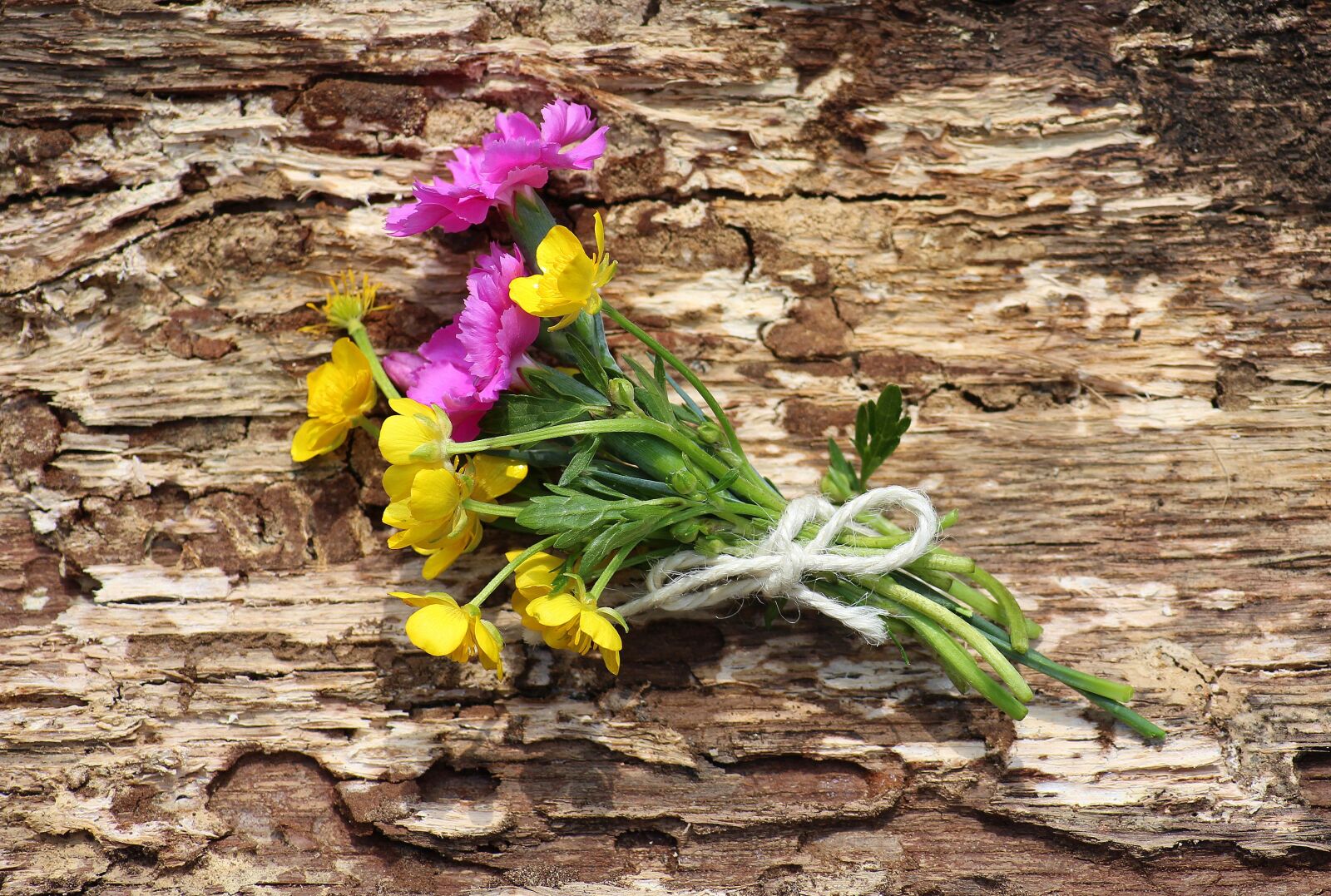 Canon EOS 1200D (EOS Rebel T5 / EOS Kiss X70 / EOS Hi) sample photo. Wildflowers, bouquet, mother's day photography