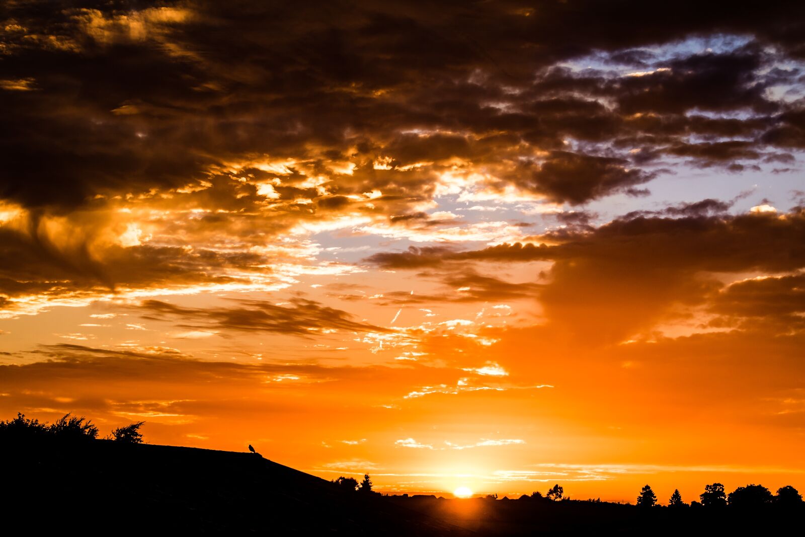 Canon EOS 750D (EOS Rebel T6i / EOS Kiss X8i) sample photo. Sunset, setting sun, evening photography