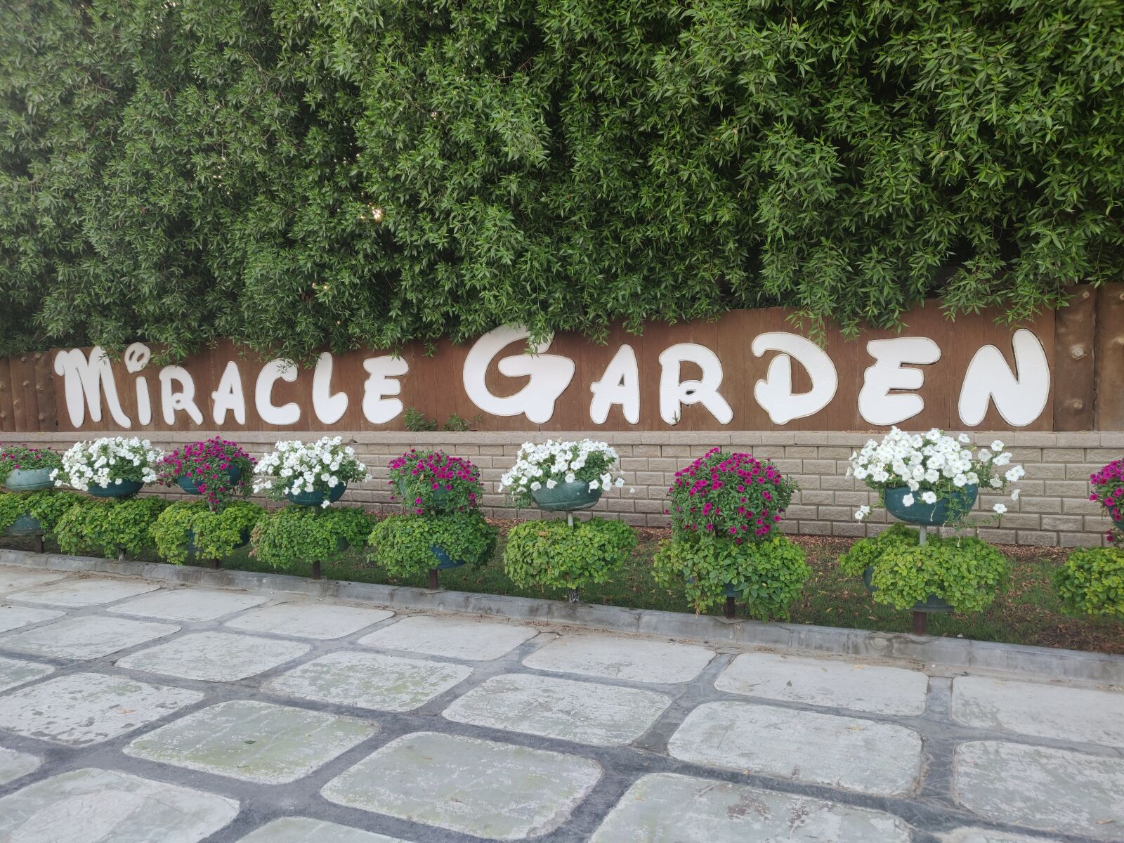 OnePlus A6000 sample photo. Miracle garden dubai, dubai photography
