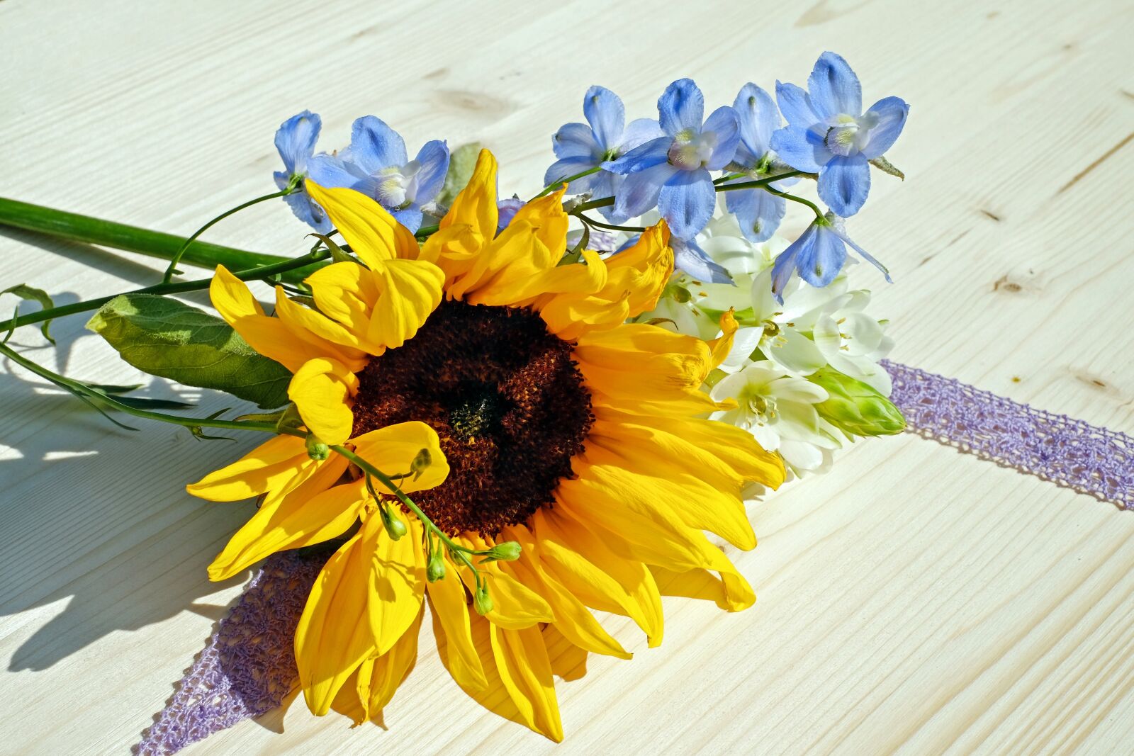 Fujifilm X-T10 sample photo. Sunflower, flower, blossom photography