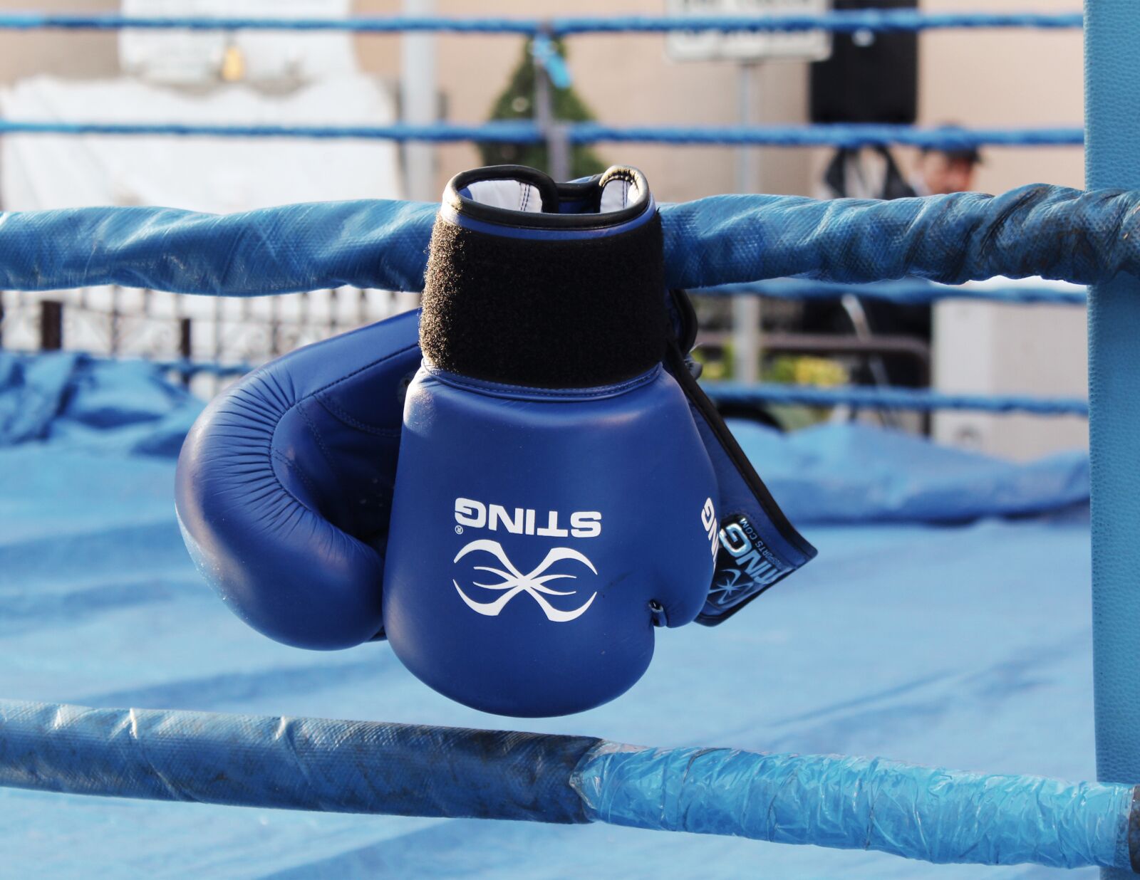 Canon EOS 1200D (EOS Rebel T5 / EOS Kiss X70 / EOS Hi) sample photo. Boxing, boxing gloves, match photography