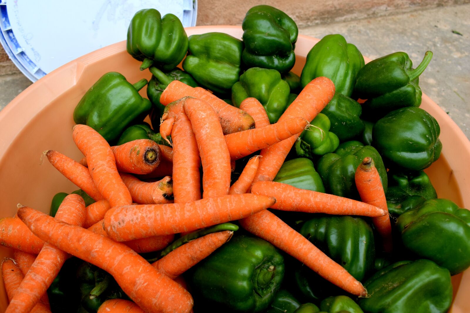 Nikon D3300 sample photo. Vegetables, farm, fresh photography
