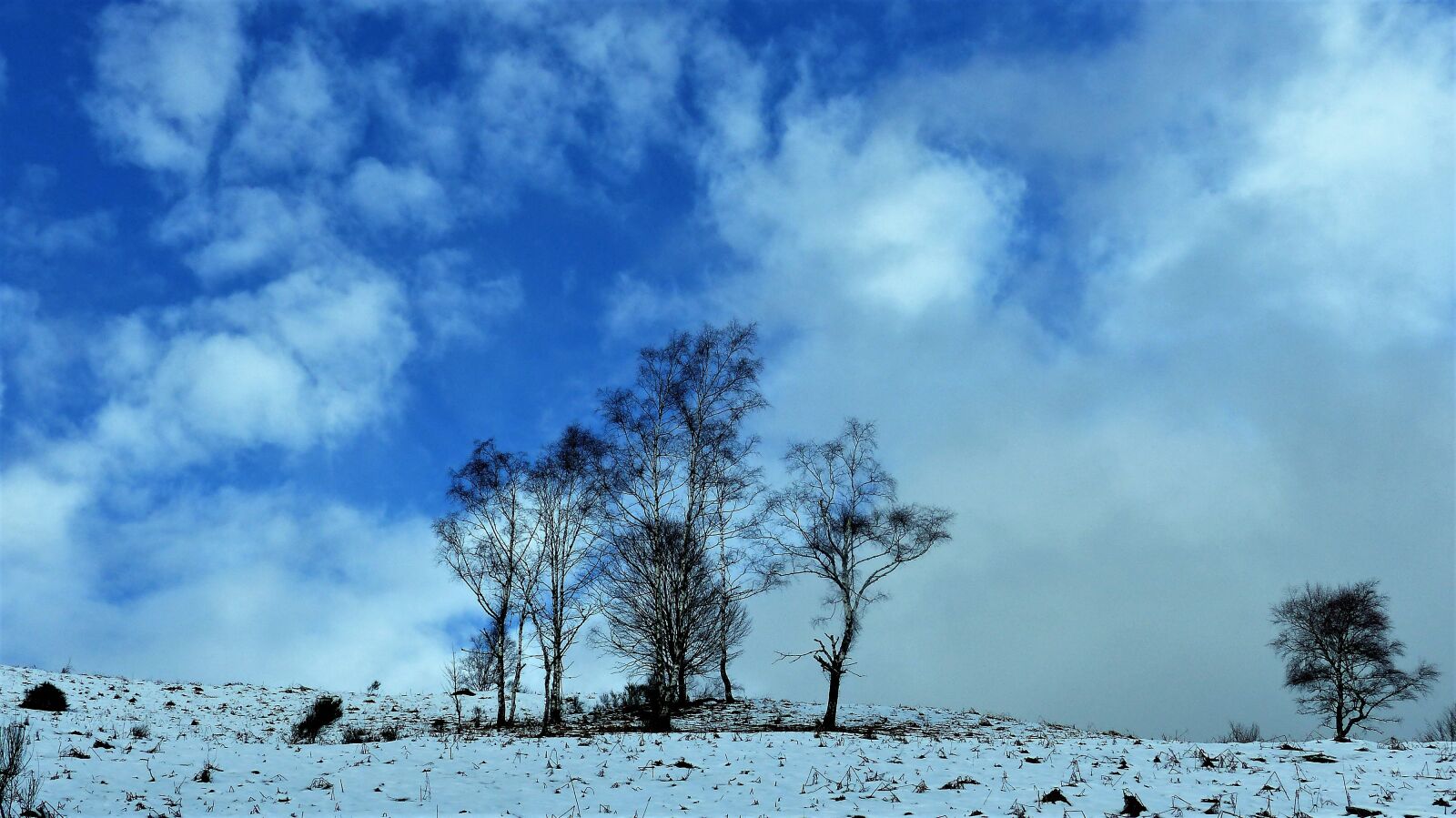 Panasonic Lumix DMC-FZ200 sample photo. Nature, winter, landscape photography