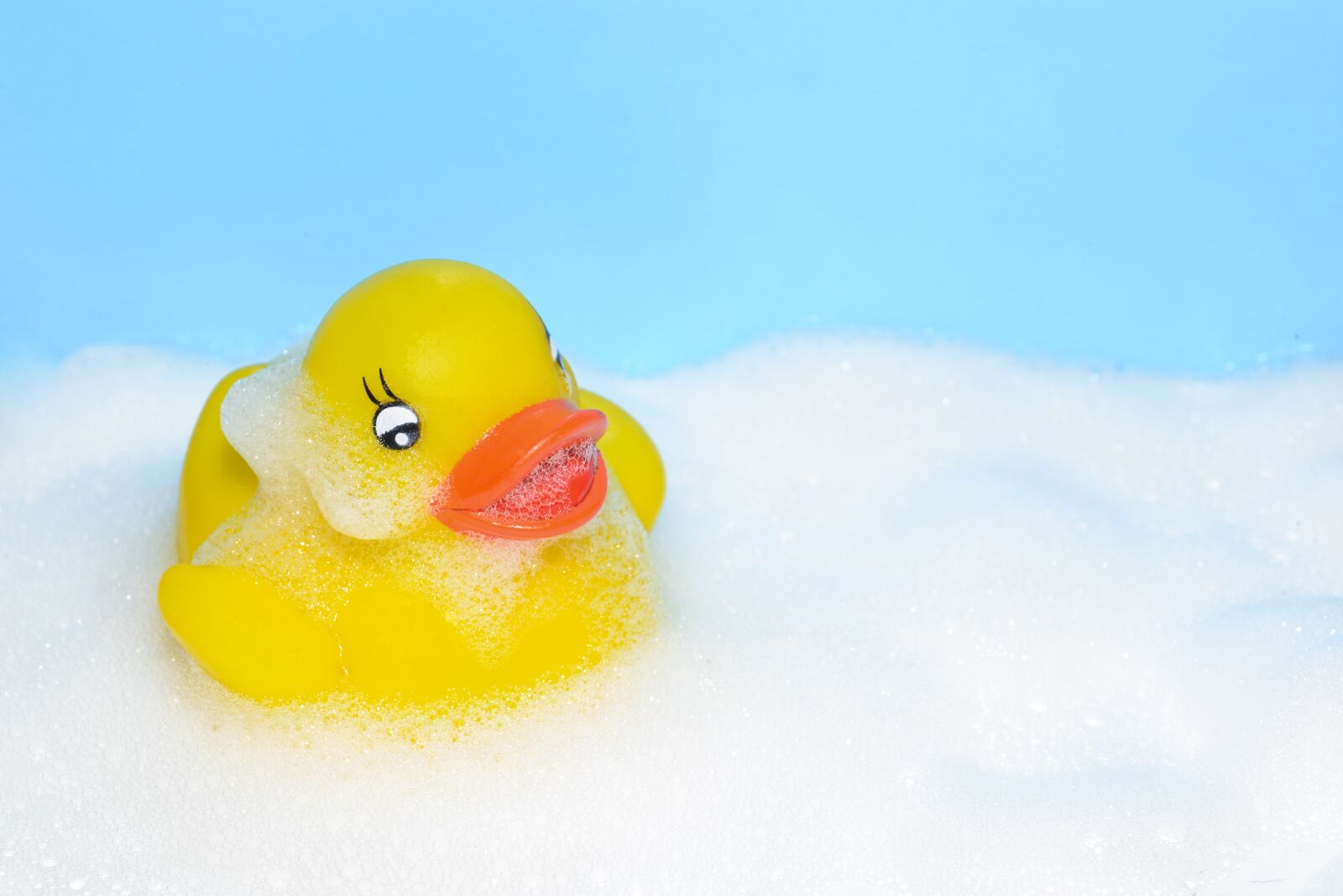 Nikon D610 sample photo. Yellow, rubber, duck photography