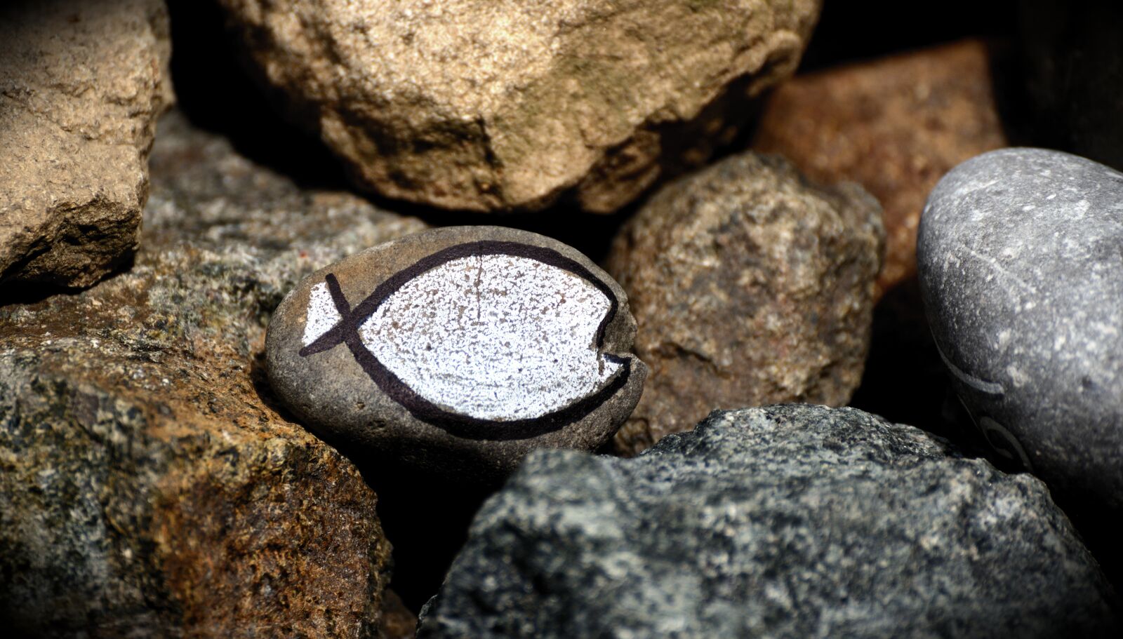 Nikon D610 sample photo. Fish, symbol, fish symbol photography