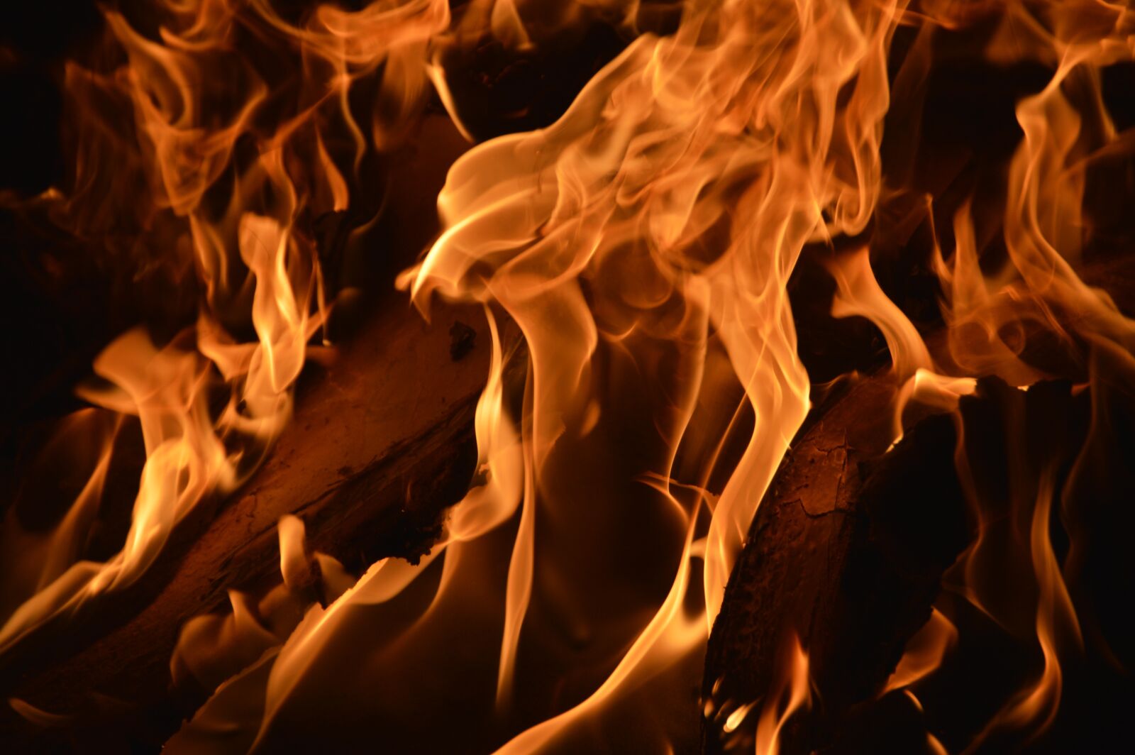 Nikon D3200 sample photo. Fire, burn, campfire photography