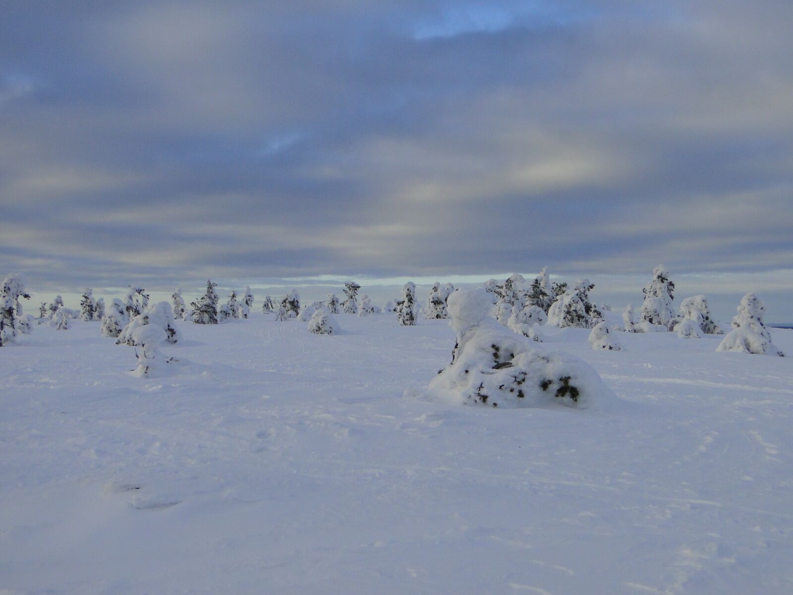 Sony DSC-HX1 sample photo. Winterland, finland, snow photography