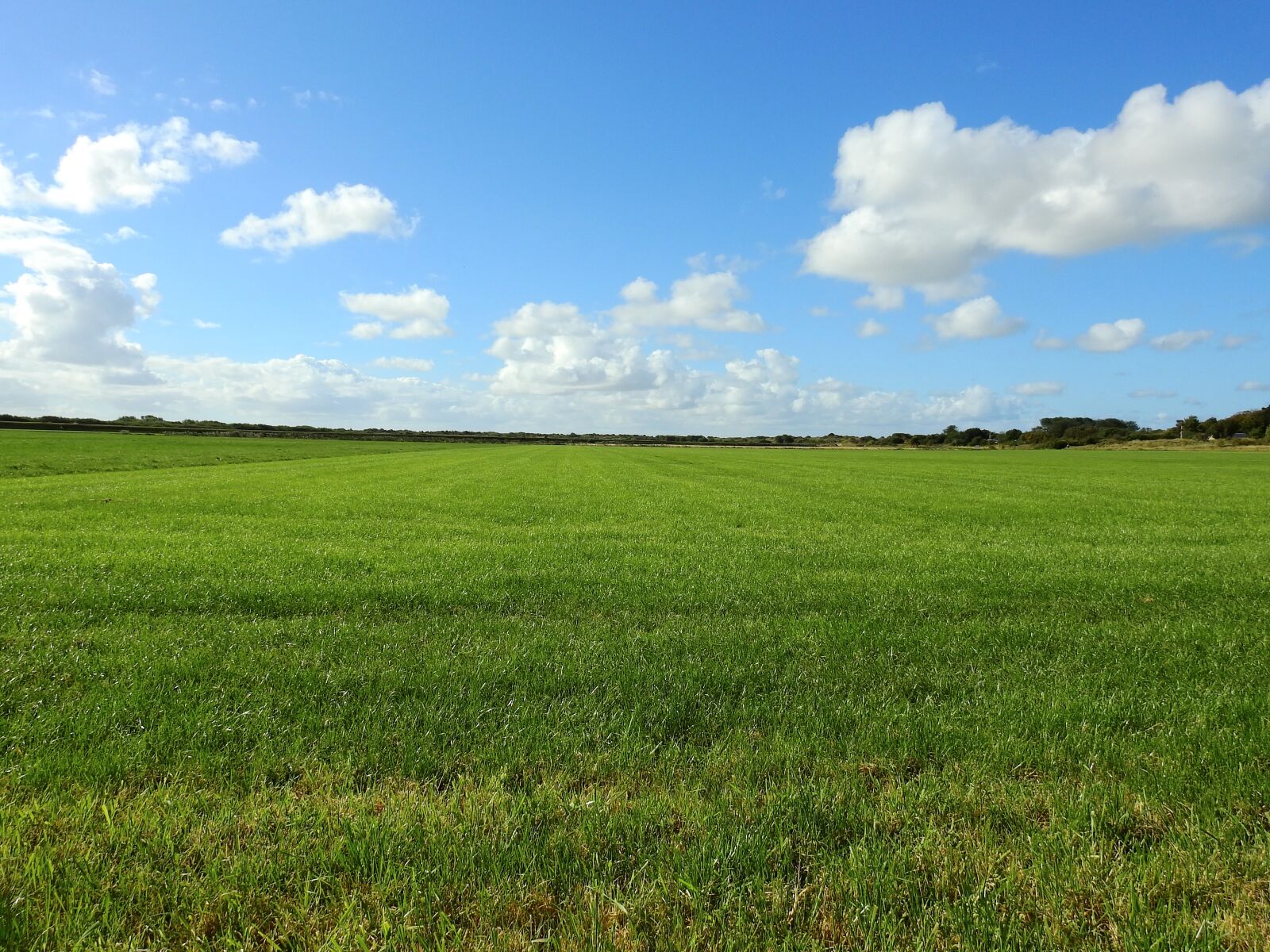 Nikon Coolpix P900 sample photo. Meadow, sky, cloud photography