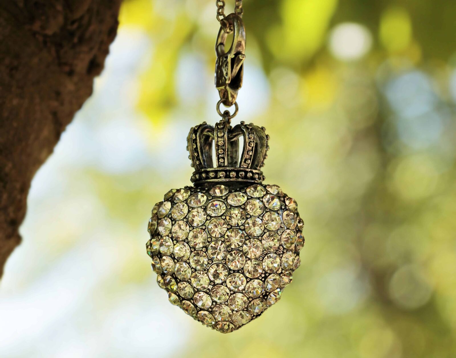 Canon EOS 100D (EOS Rebel SL1 / EOS Kiss X7) sample photo. Diamond, heart, forest, crown photography