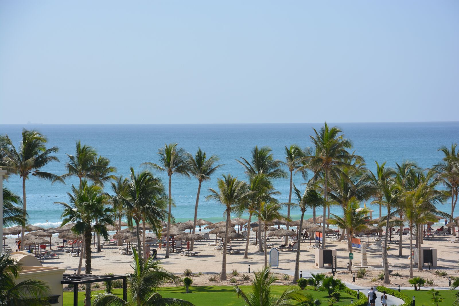 Nikon D5200 sample photo. Oman, sea, palm trees photography
