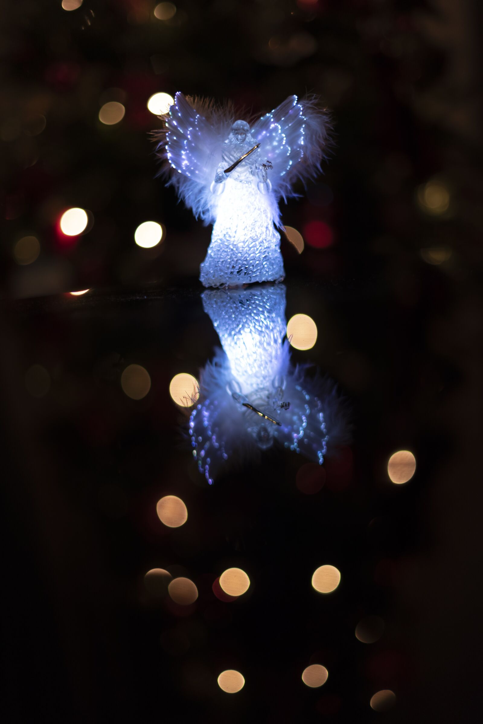 Nikon D750 sample photo. Christmas, lights, holiday photography