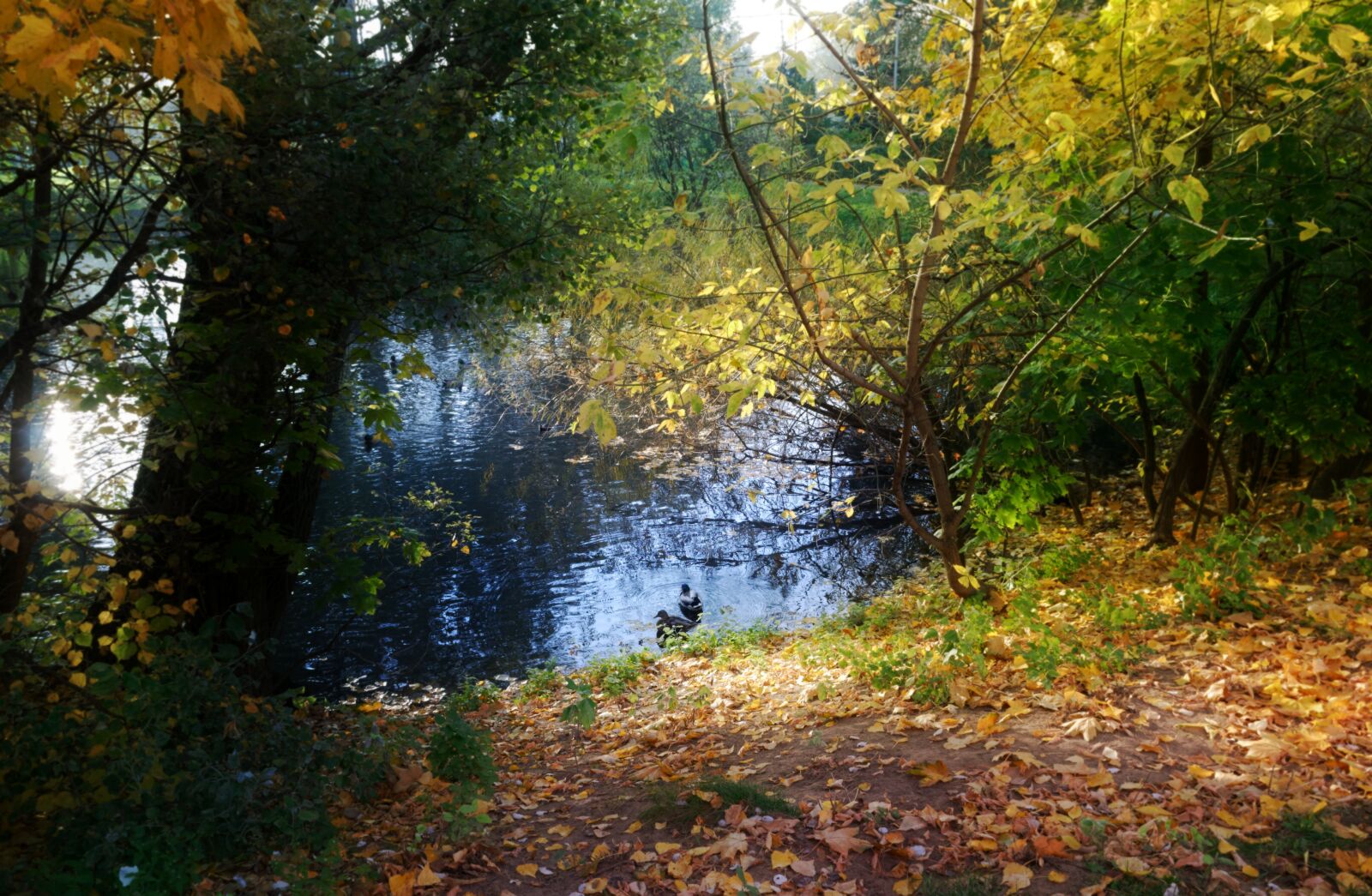 Nikon D3100 sample photo. Landscape, lake, water photography