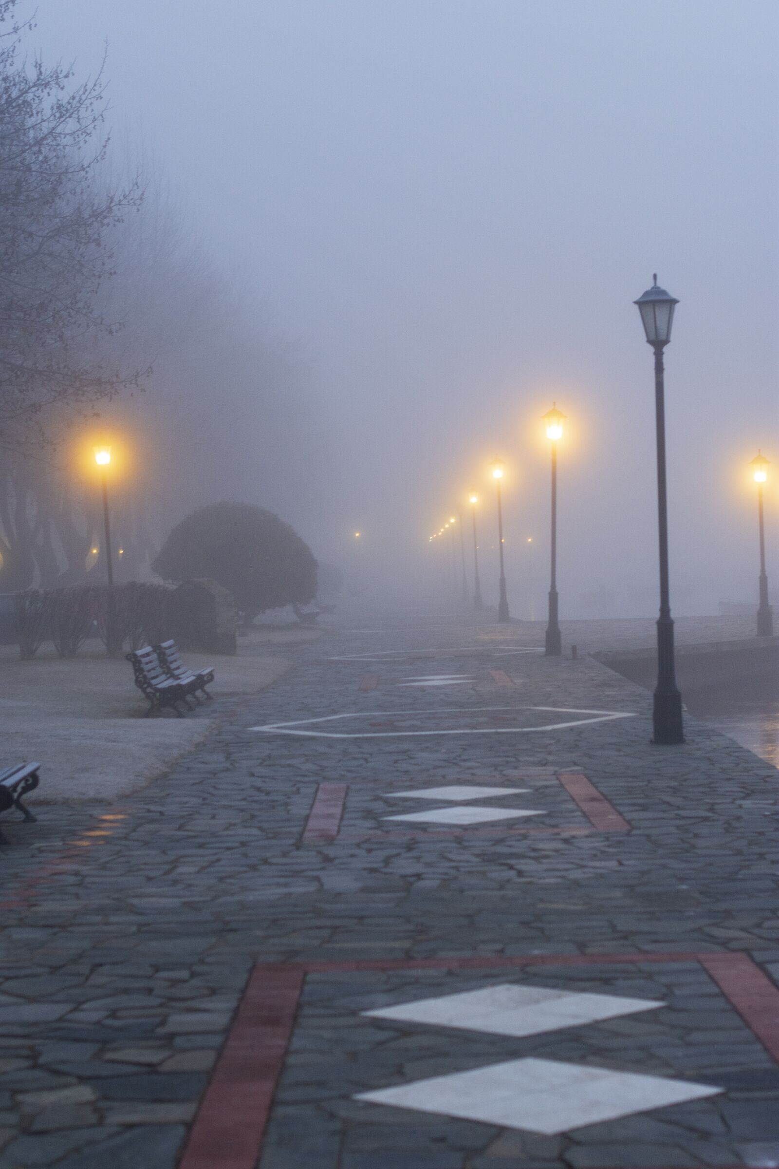 Nikon D7200 sample photo. Fog, mist, magic photography