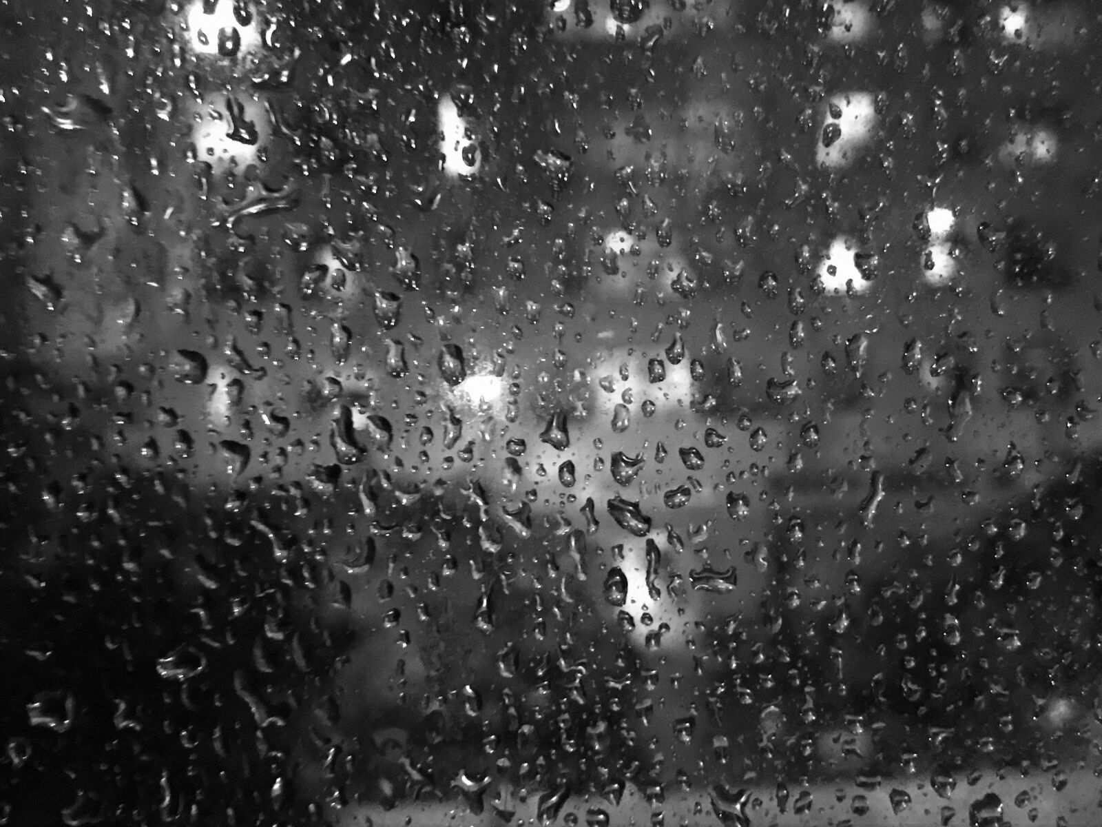 iPhone 7 back camera 3.99mm f/1.8 sample photo. Drop, rain, water photography