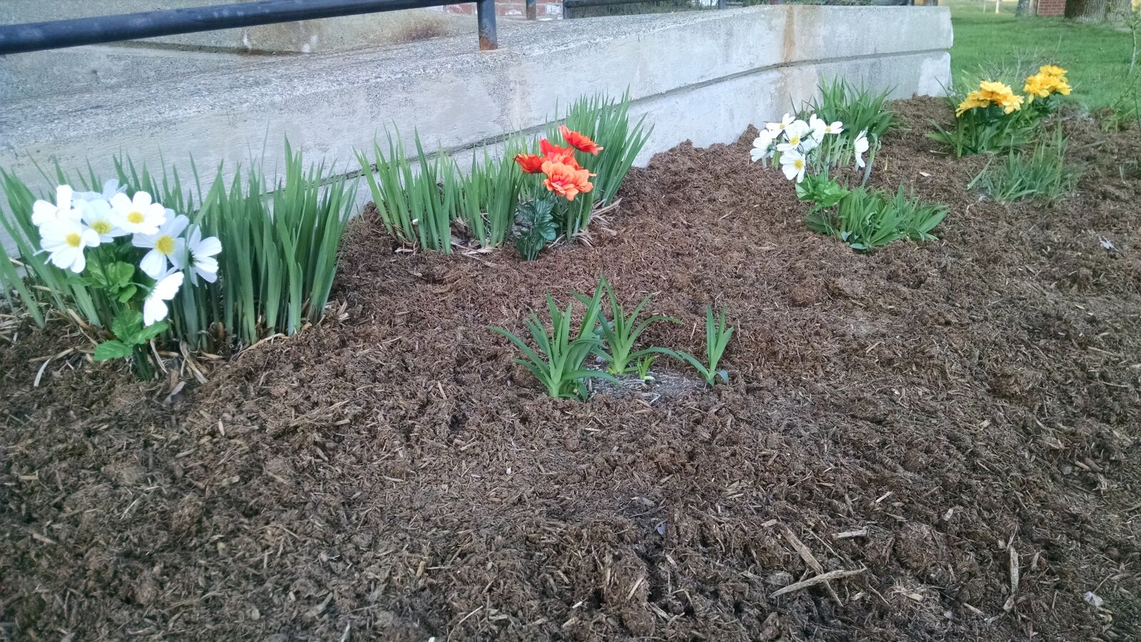Motorola Moto X (1st Gen) sample photo. Brown, color, flowers, mulch photography
