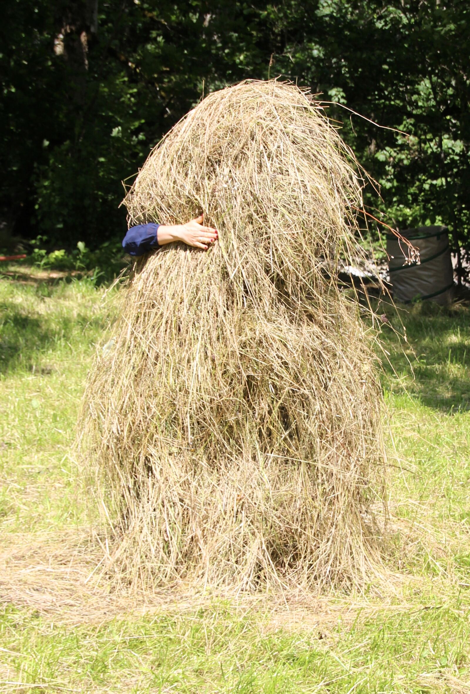 Canon EOS 600D (Rebel EOS T3i / EOS Kiss X5) sample photo. Haystack, yoda, pile photography