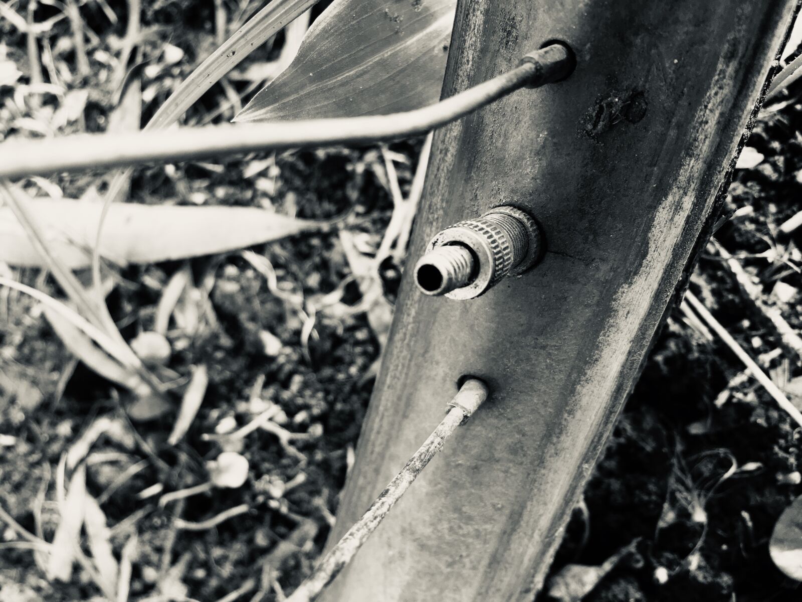 iPhone 6s back camera 4.15mm f/2.2 sample photo. Valve, ?, rusty photography