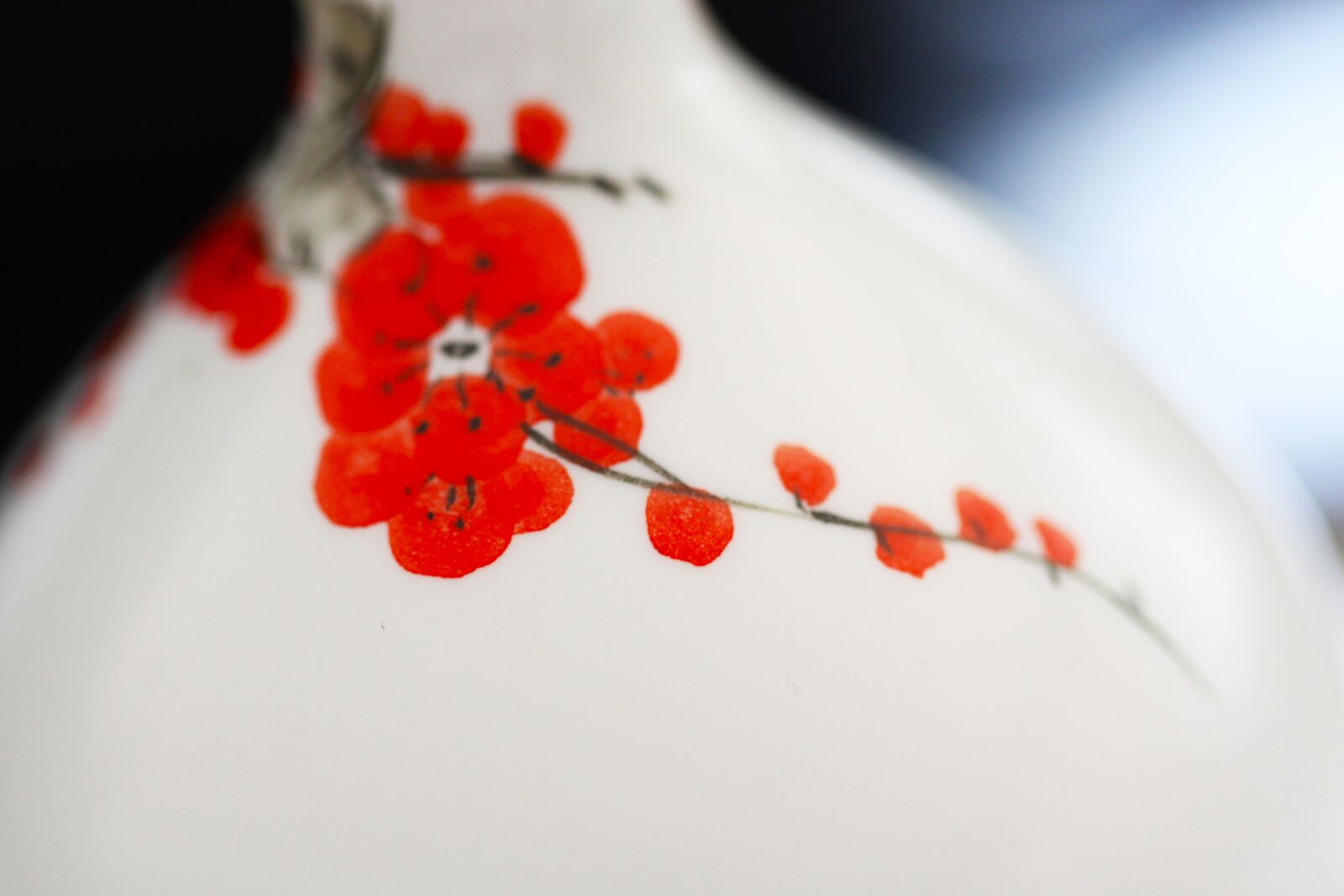 Canon EOS 50D sample photo. Plum blossom, ink, bottle photography