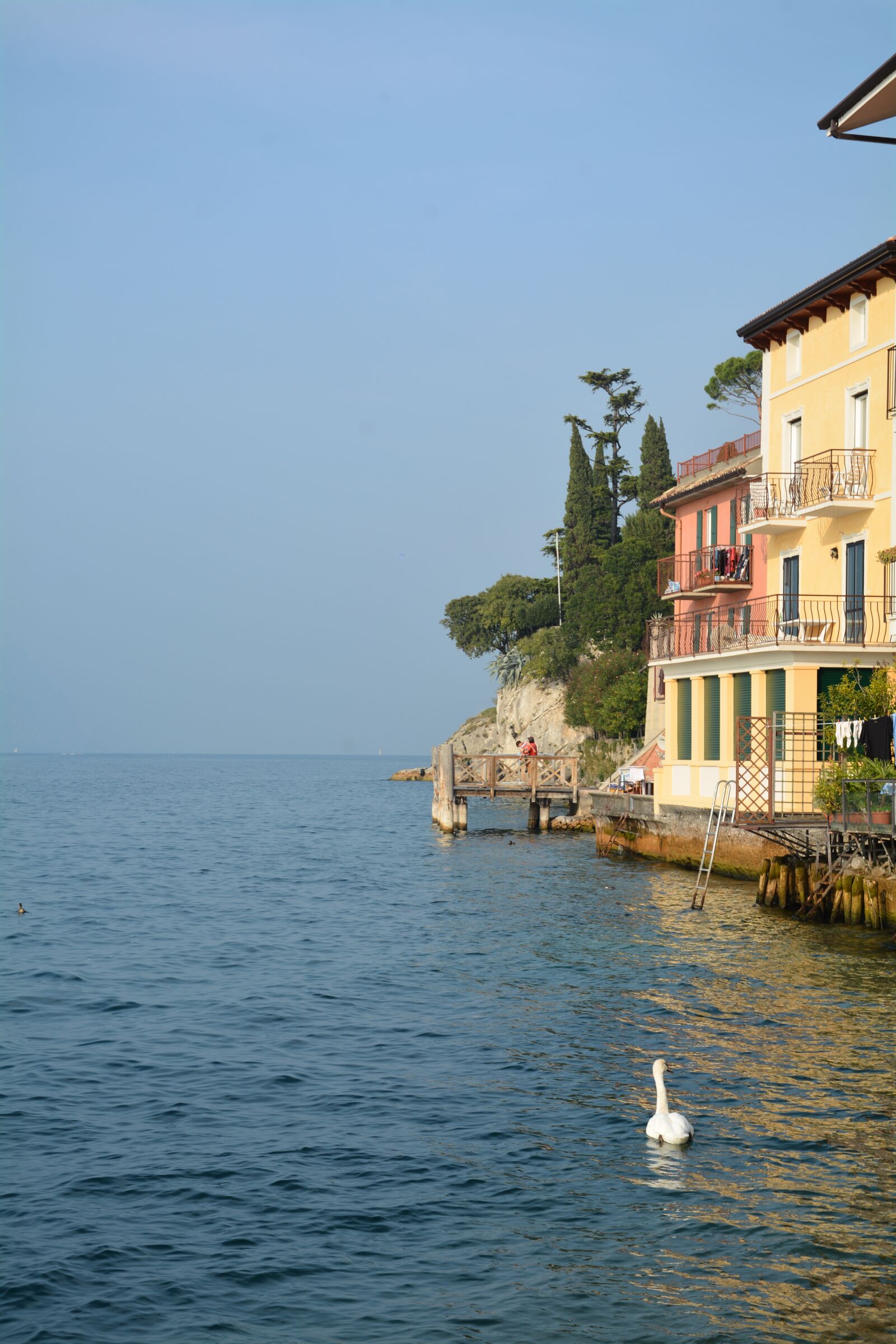 Nikon D7100 sample photo. Lake, swan, garda photography