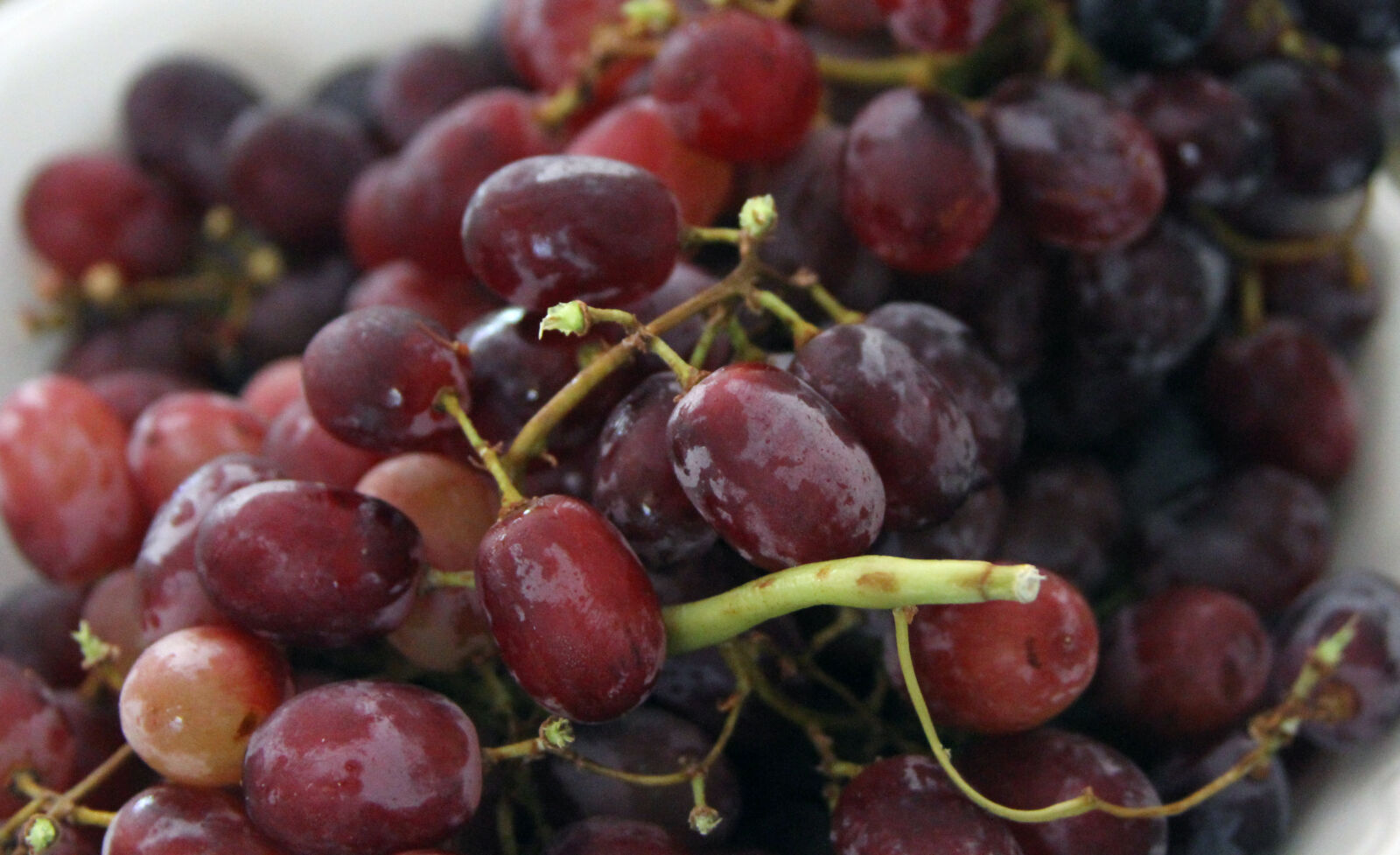 Canon EOS 7D + Canon EF 28-135mm F3.5-5.6 IS USM sample photo. Grapes photography