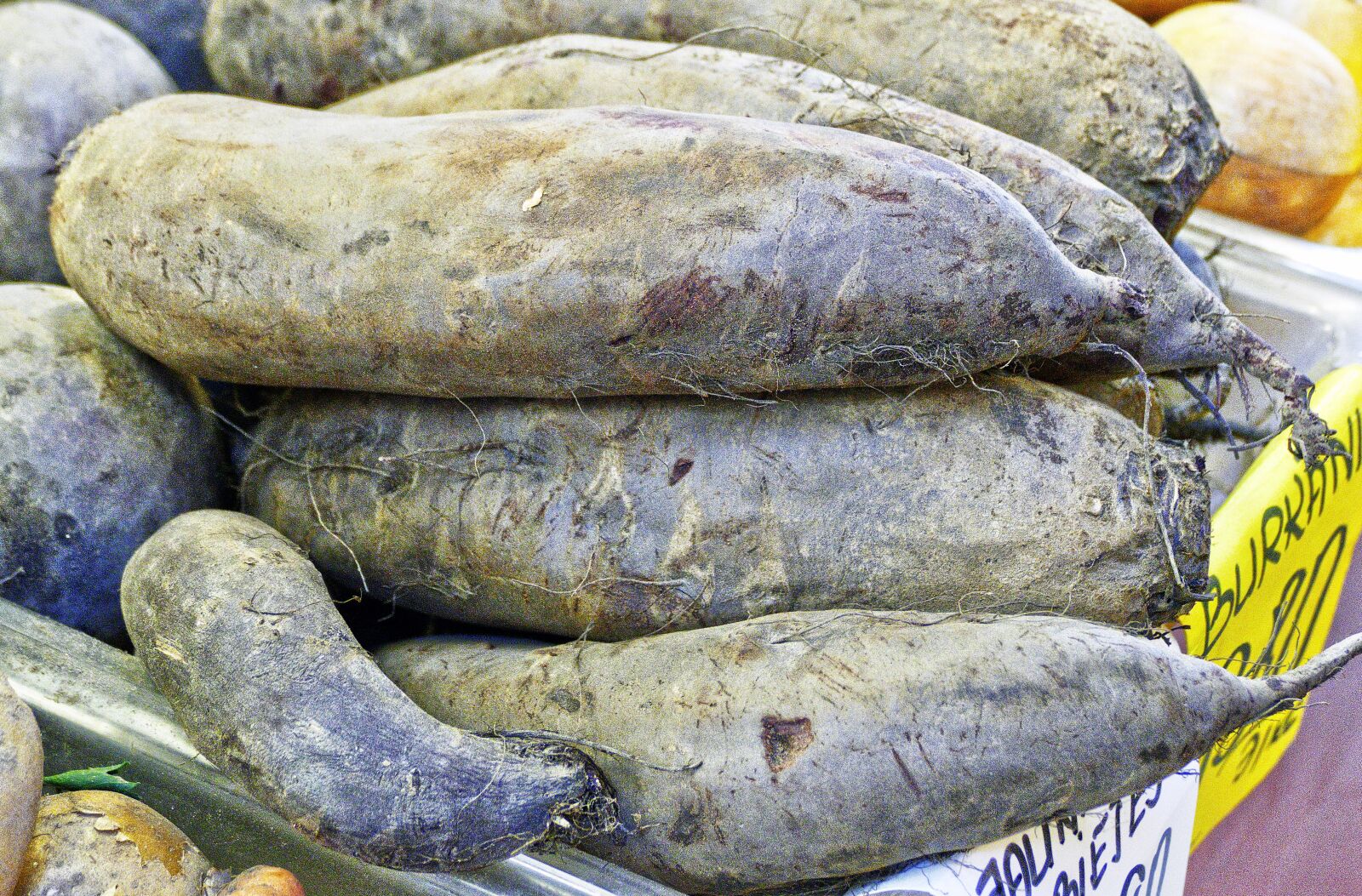 Panasonic Lumix DMC-FZ1000 sample photo. Yam, white potato, knoll photography