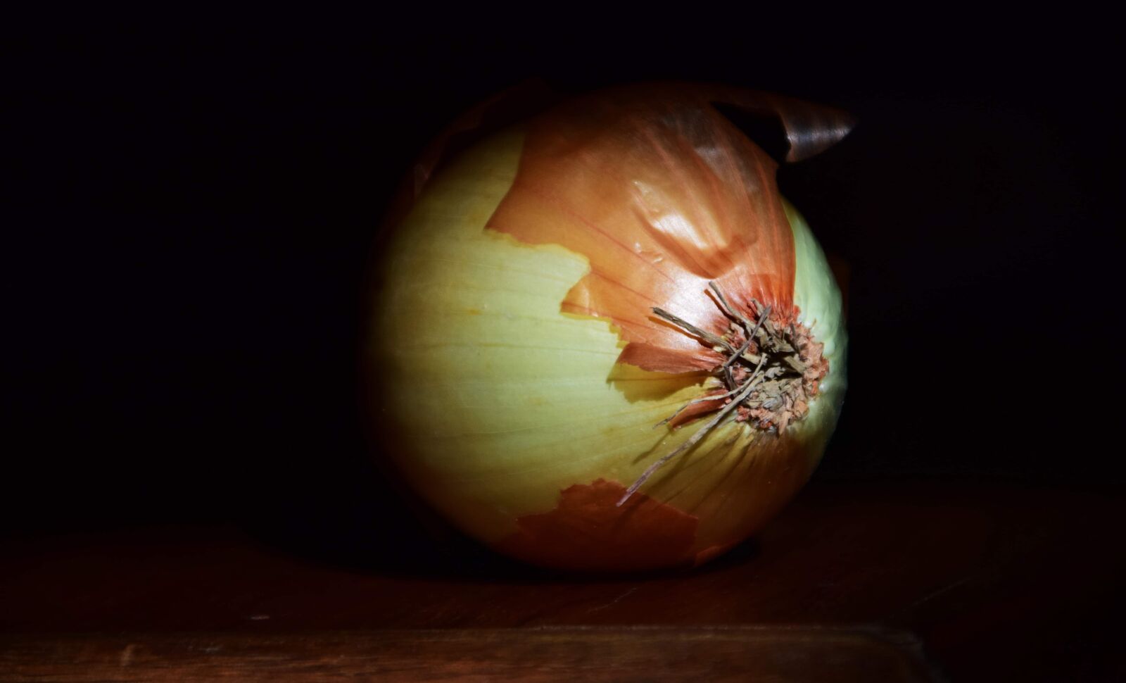 Nikon D3300 sample photo. Food, onion, stalk, vegetable photography