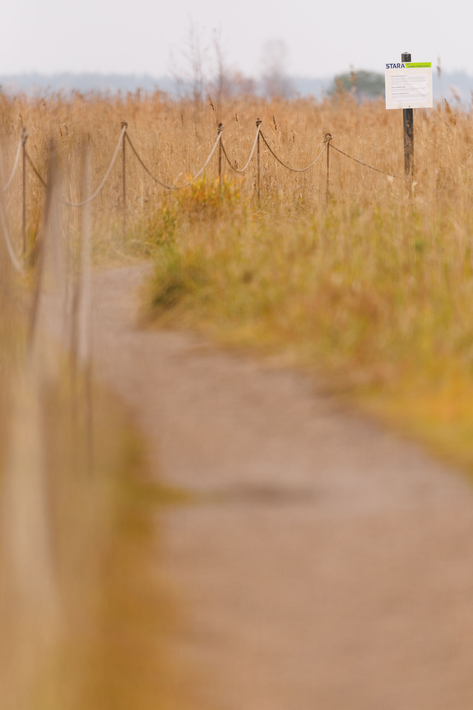 Canon EOS R1 sample photo. Sign pathway photography