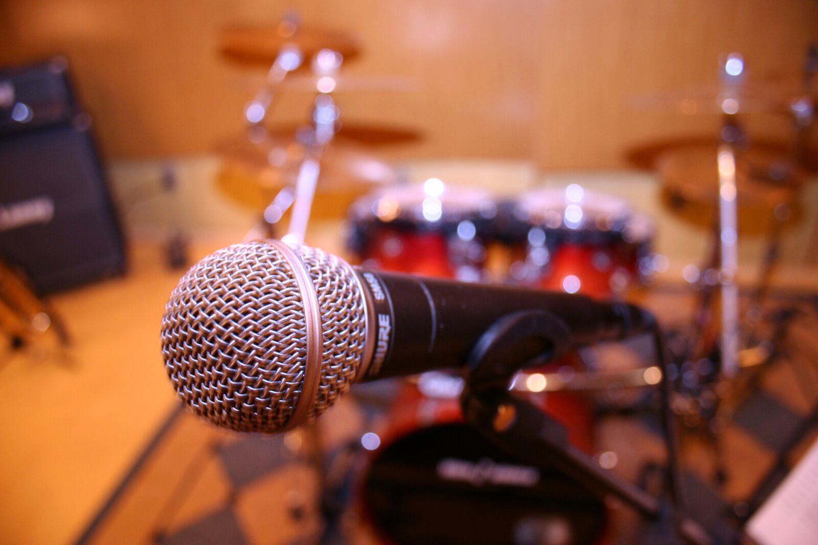 Canon EOS 20D sample photo. Microphone, studio, music photography