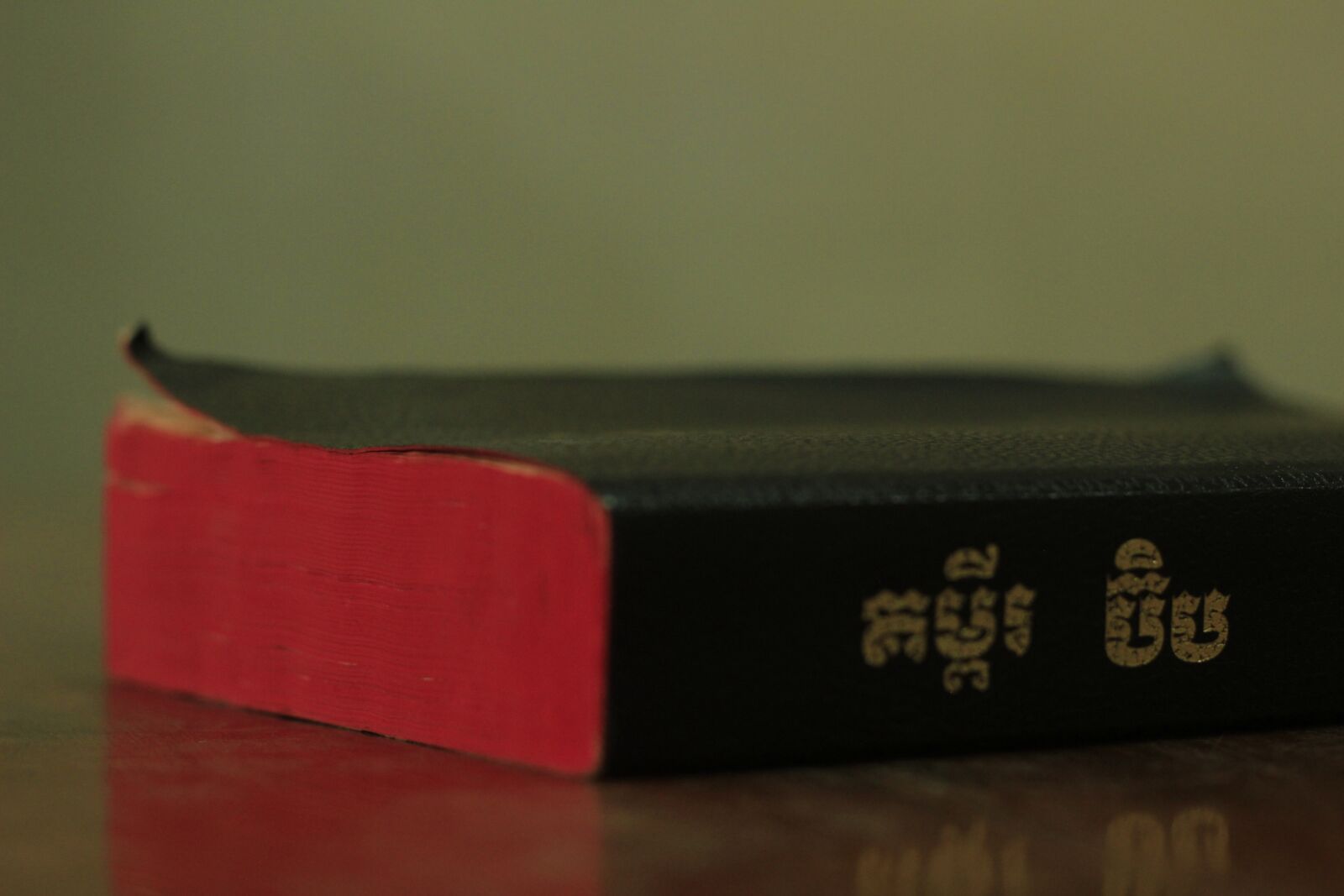 Canon EOS 600D (Rebel EOS T3i / EOS Kiss X5) + Canon EF 50mm F1.8 II sample photo. Bible, khmer bible, jesus photography