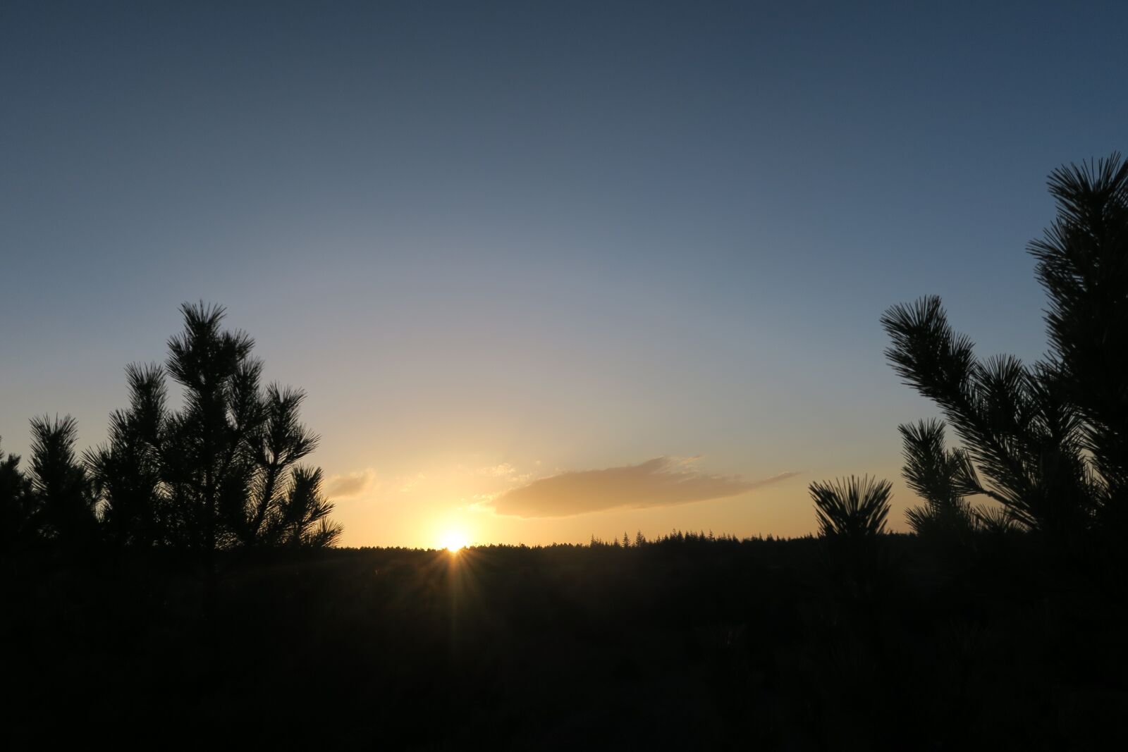 Canon PowerShot G7 X sample photo. Sunset, nature, dawn photography