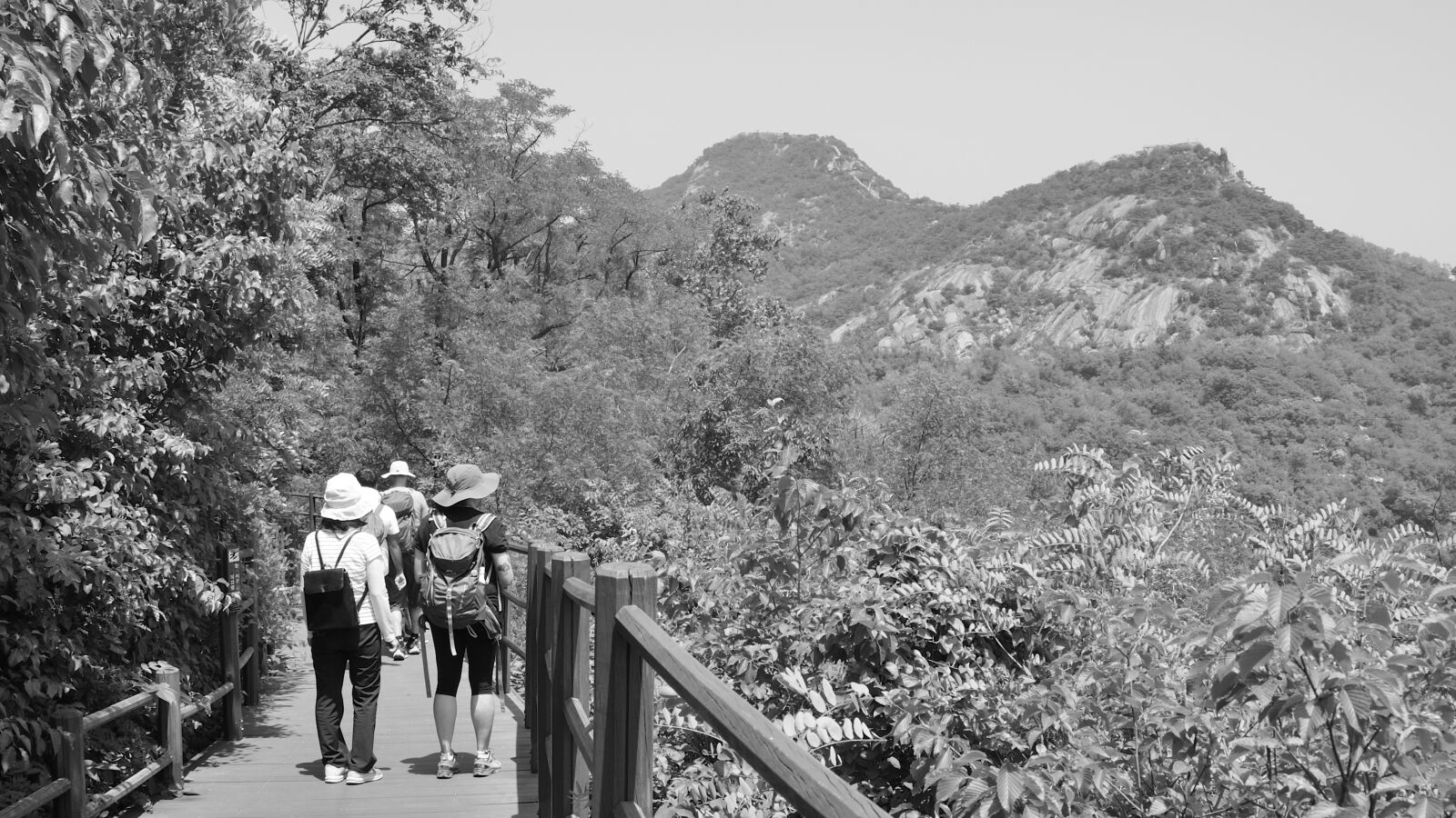 Nikon D300 sample photo. Ansan mountain trail in photography