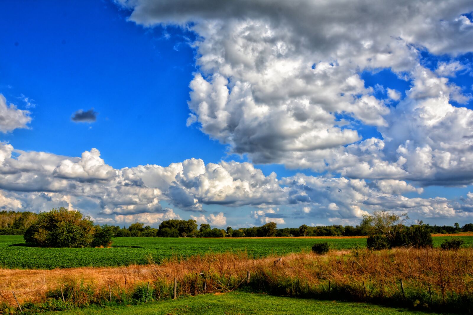 Nikon D7100 sample photo. Landscape, rural, field photography