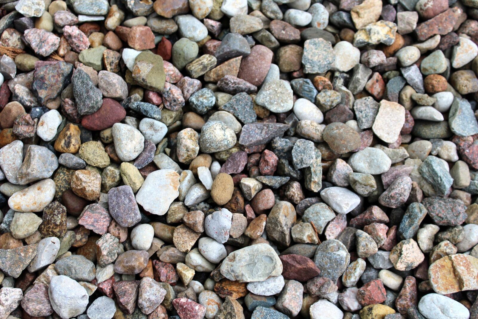 Canon EOS 1200D (EOS Rebel T5 / EOS Kiss X70 / EOS Hi) sample photo. Pebbles, colorful, texture photography