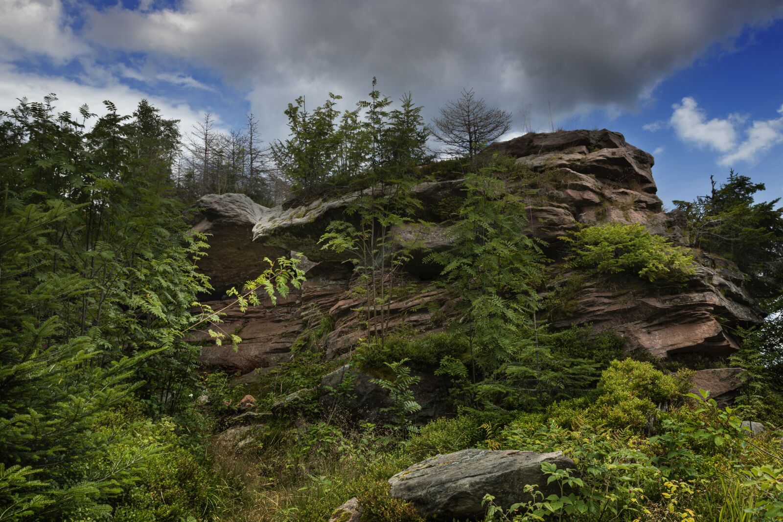 Canon EOS 5D Mark IV sample photo. Klagstein, westweg, schwarzwald photography