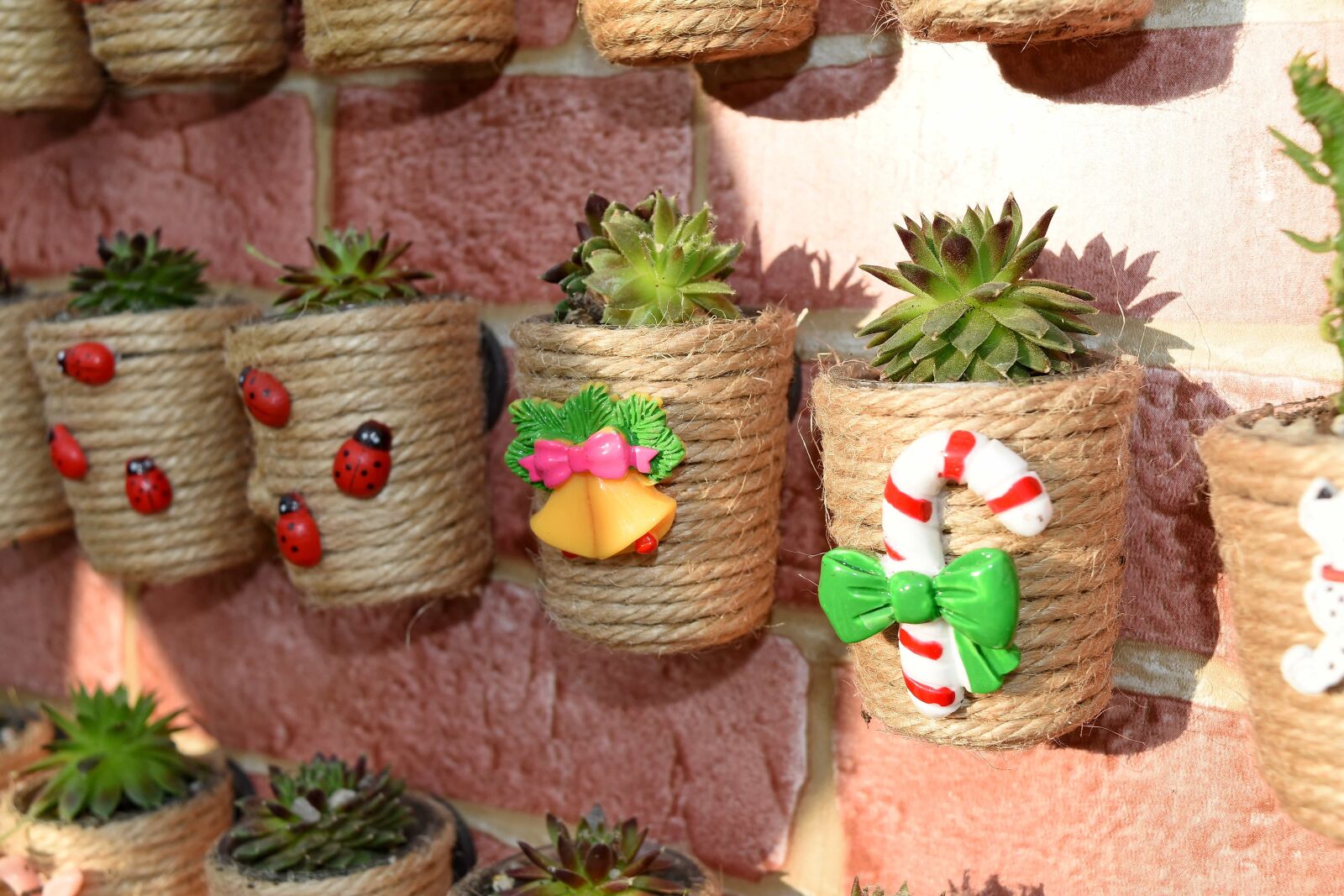 Nikon D5500 sample photo. Cactus, decoration, flowerpot, handmade photography
