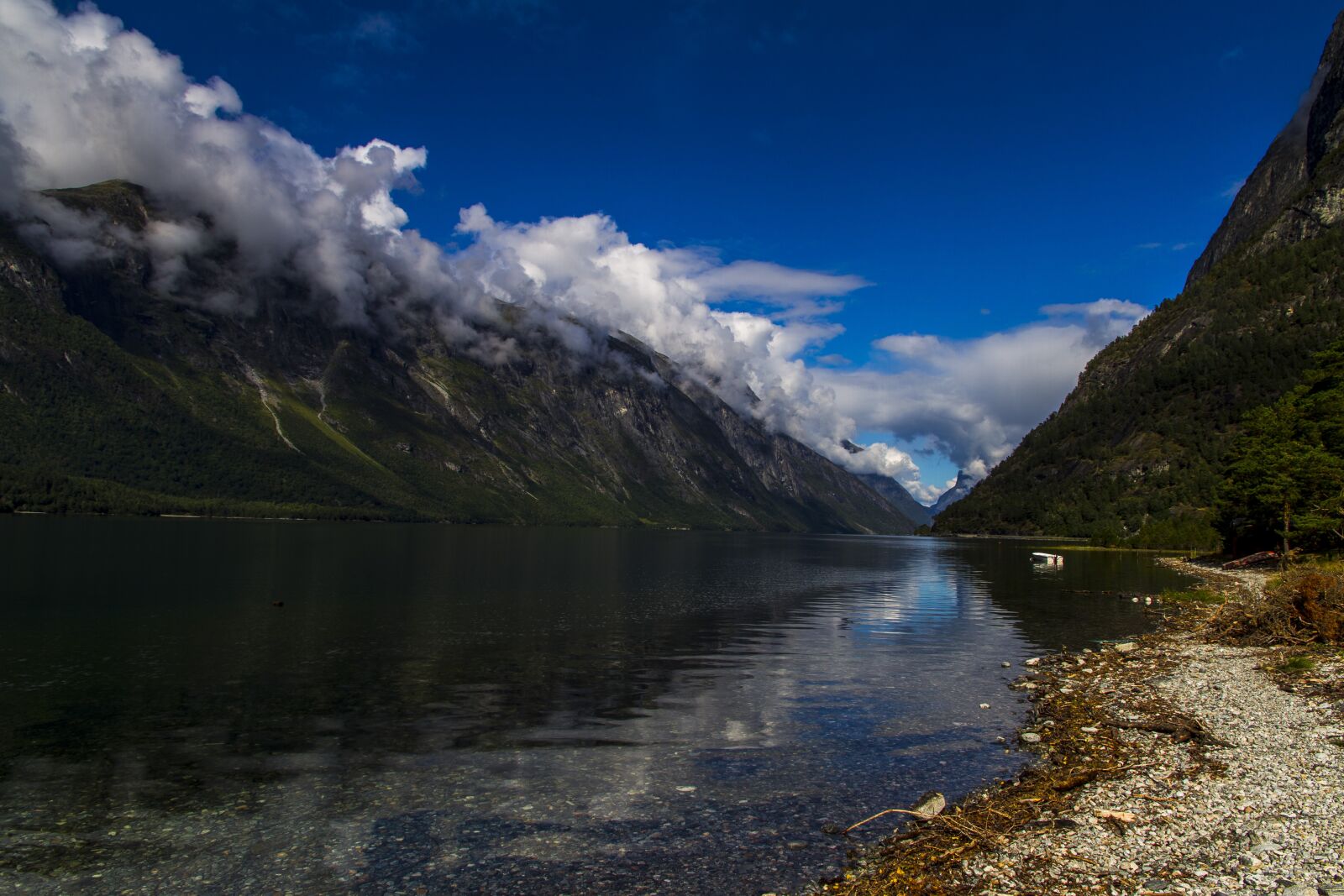 Canon EOS 7D sample photo. The nature of the photography