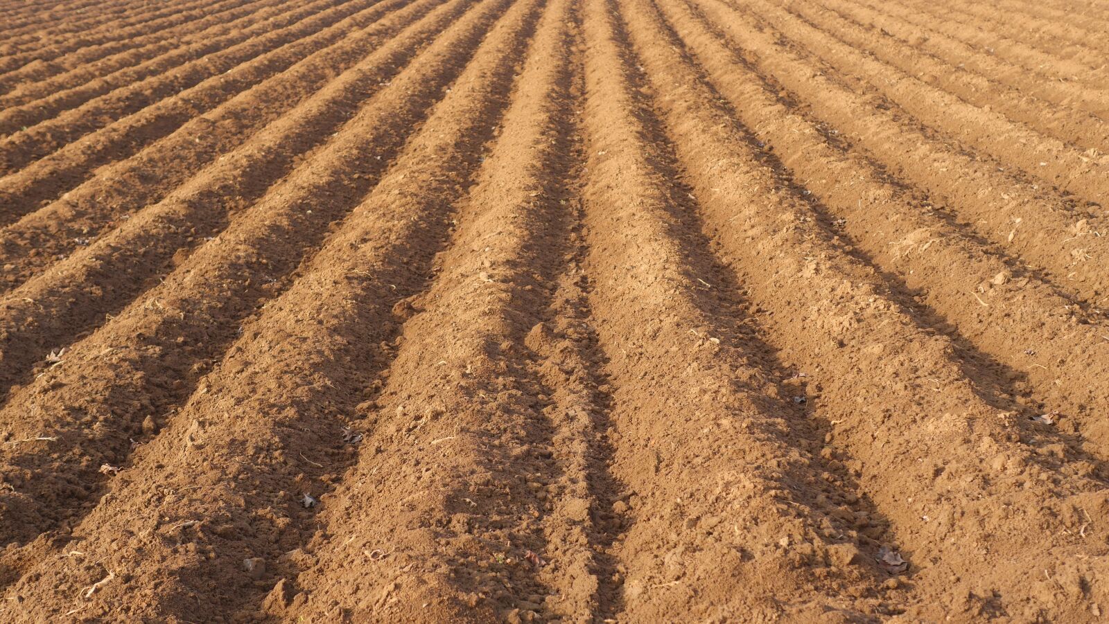 Panasonic Lumix DMC-GX8 sample photo. Field, farmland rut, arable photography