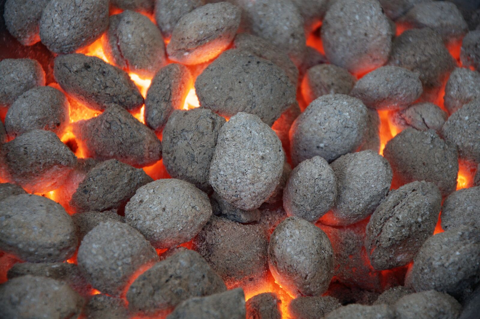 Nikon D90 sample photo. Grill, briquettes, barbecue photography