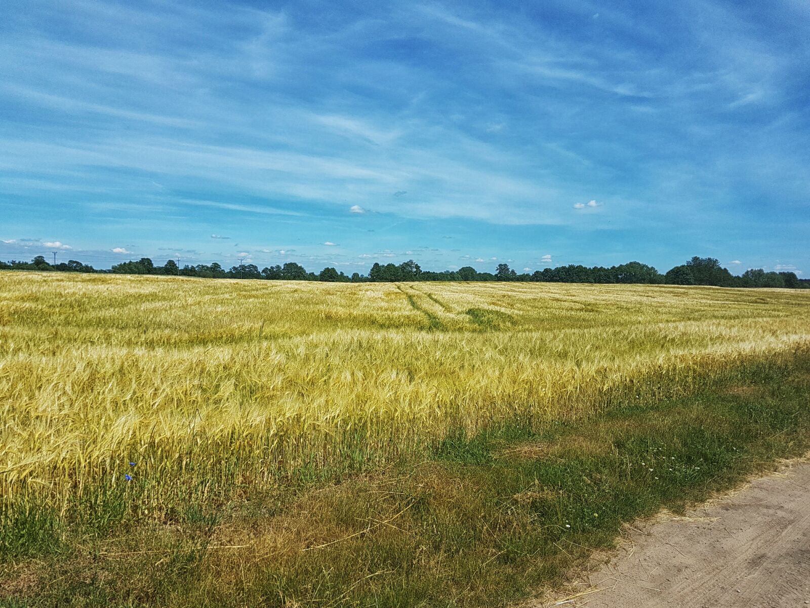 Samsung Galaxy S7 Edge sample photo. Field, dirt road, landscape photography