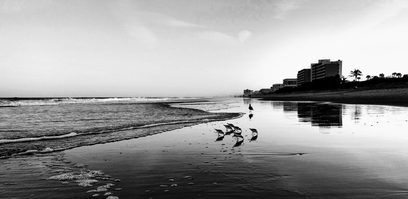 Motorola Moto G (4) sample photo. Walking, on, the, beach photography